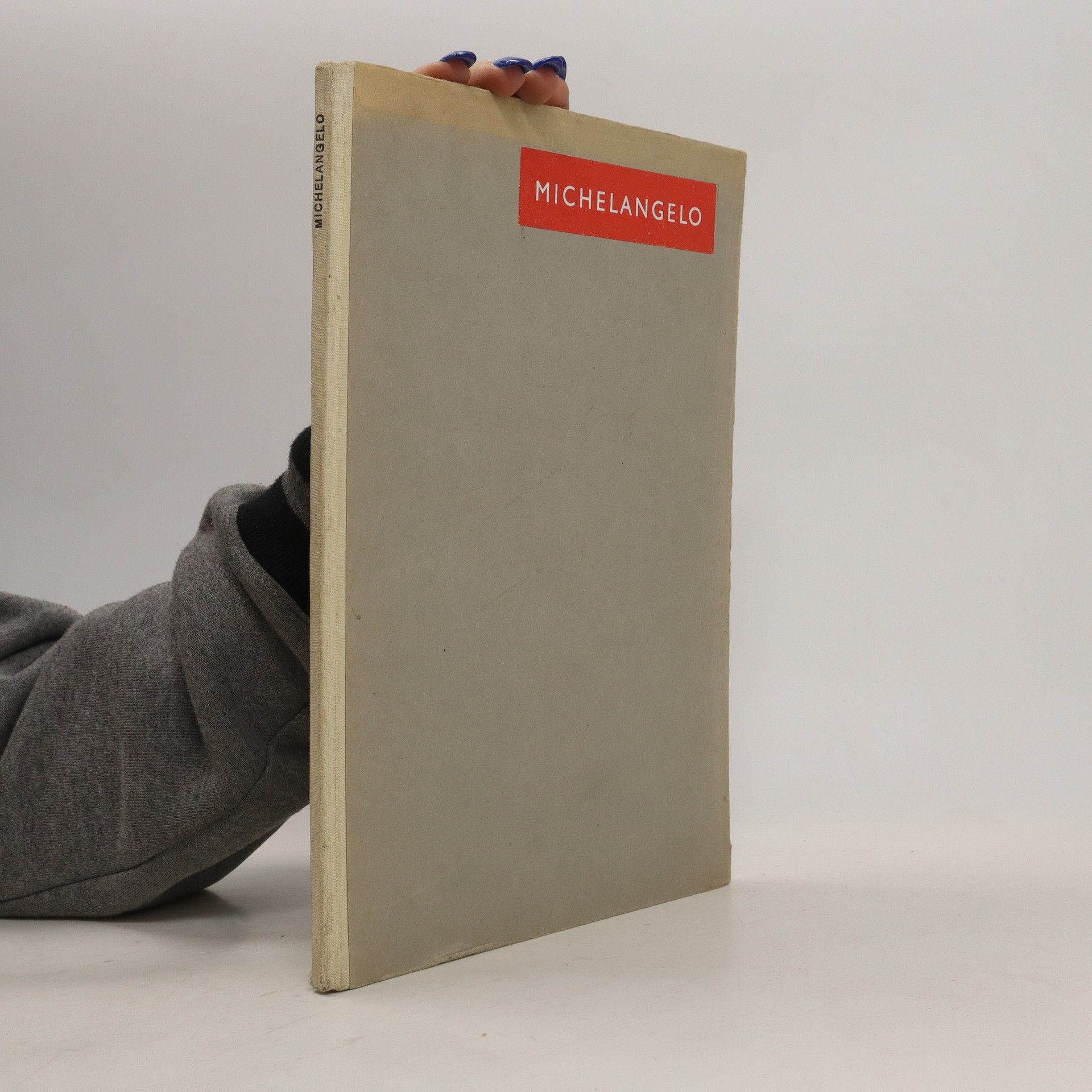 Kolektív autorov Michelangelo