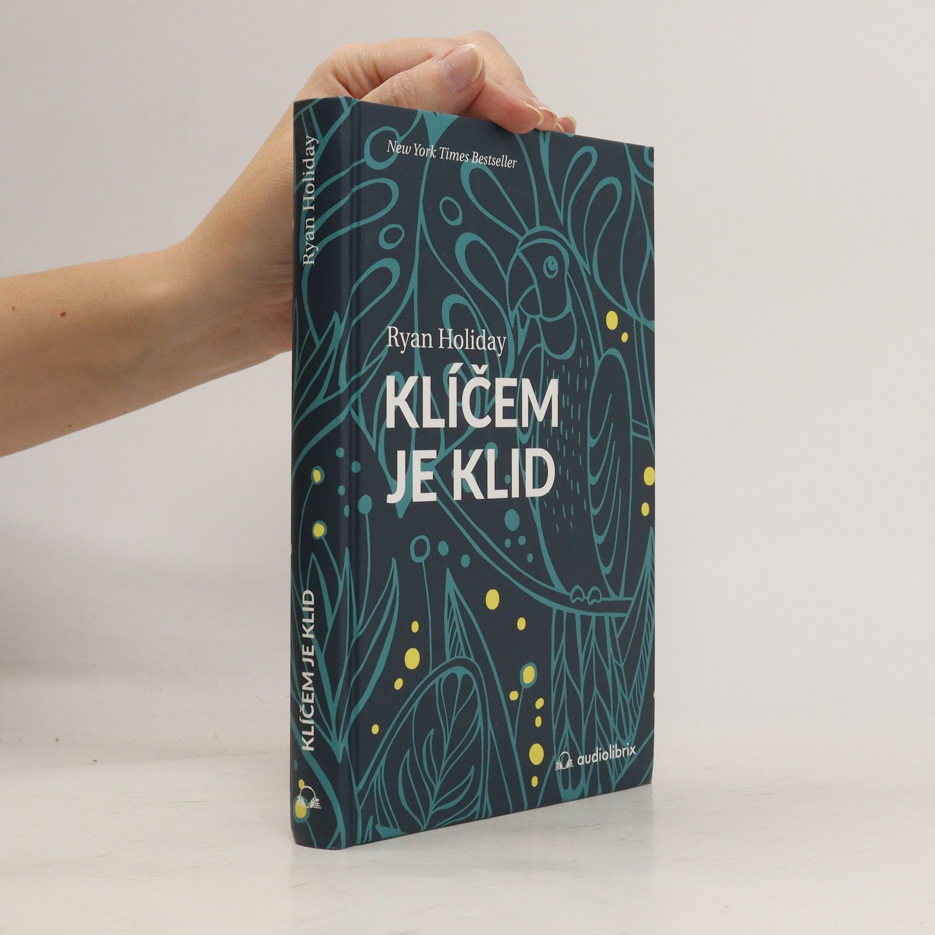 Ryan Holiday Klíčem je klid