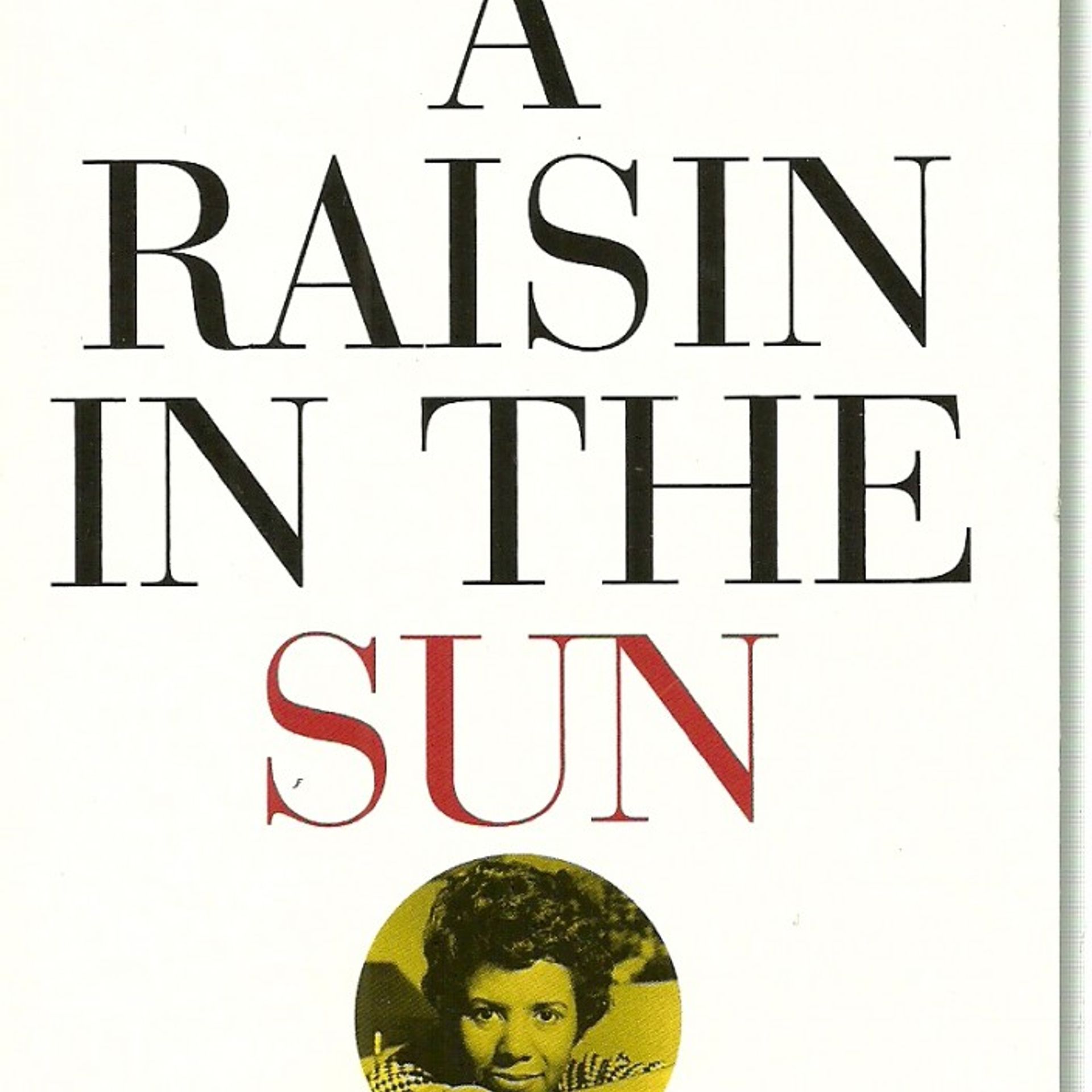 Kolektiv autorů A Raisin in the Sun