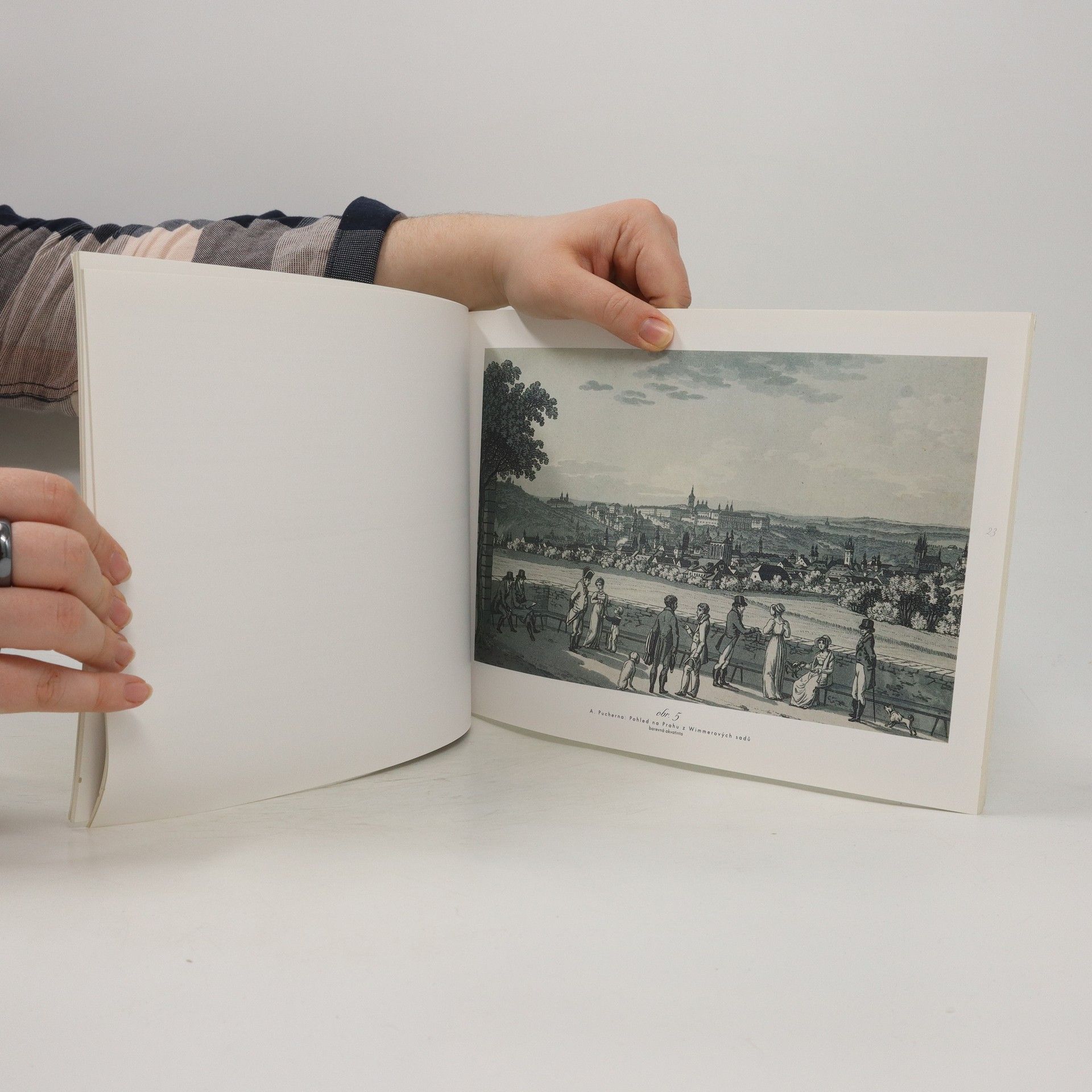 Collectif d'auteurs Zahrady Pražského hradu a zámecké zahrady v Čechách a na Moravě : 1.11. 1996-19.1.1997 Tereziánské křídlo Pražský hrad