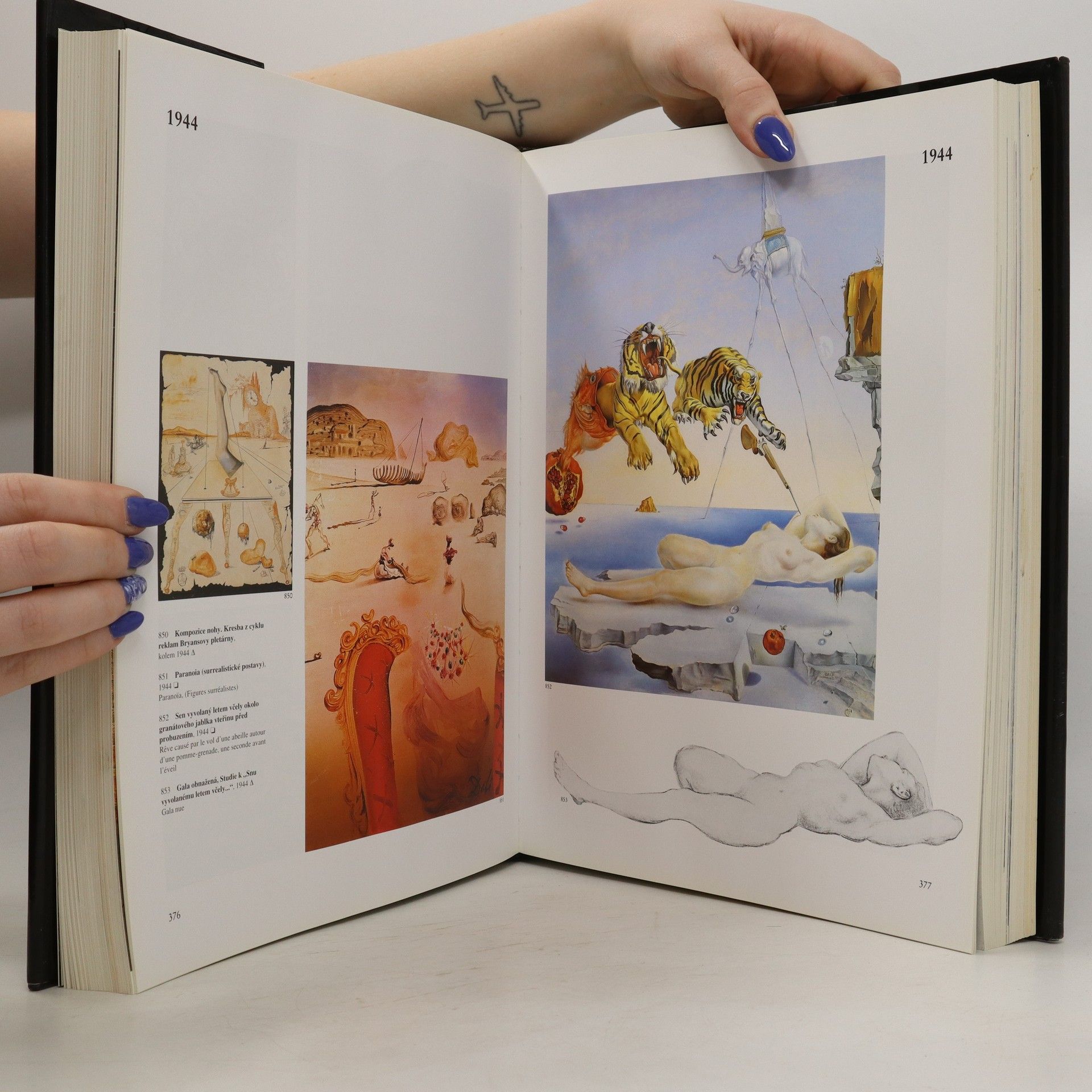Robert Descharnes Dalí. Malířské dílo