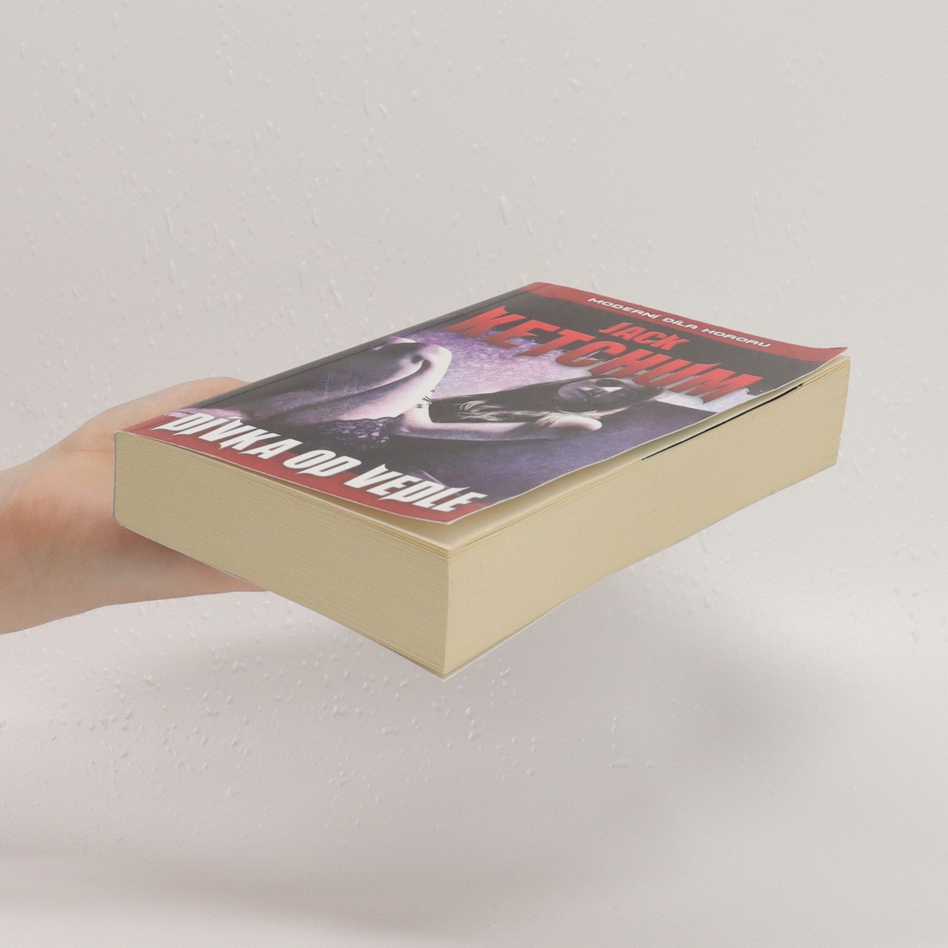 Jack Ketchum Dívka od vedle