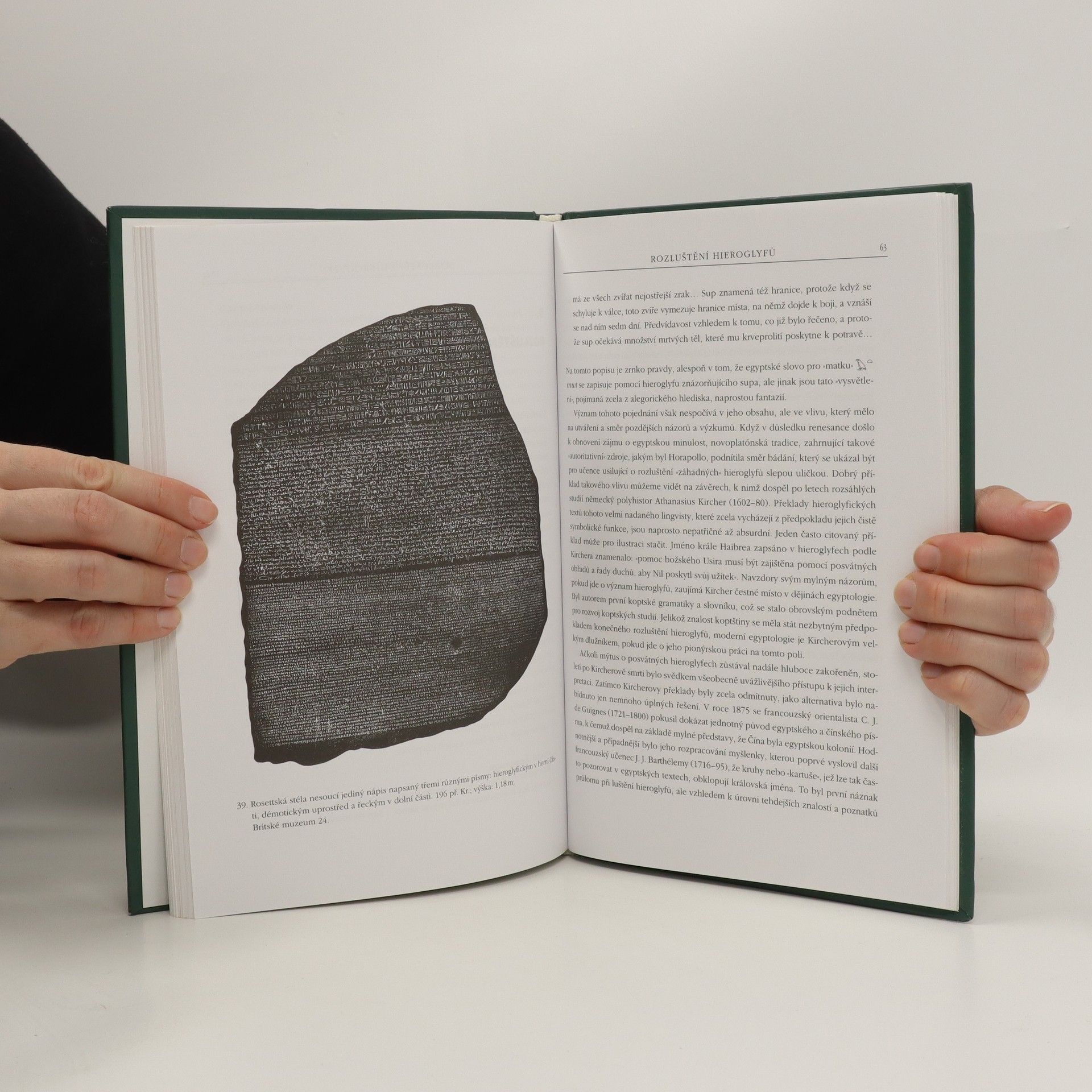 W. V. Davies Egyptské hieroglyfy : čtení v minulosti