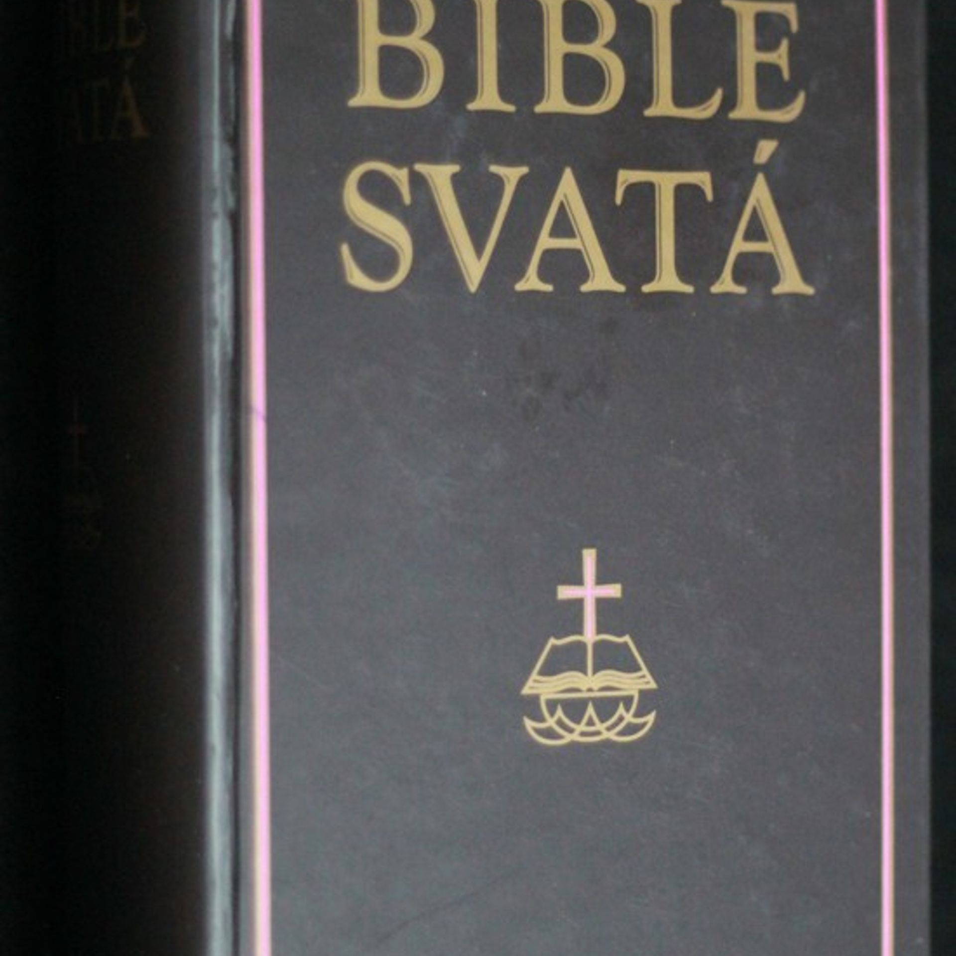 Autorenkollektiv Bible svatá podle posledního vydání kralického z roku 1613