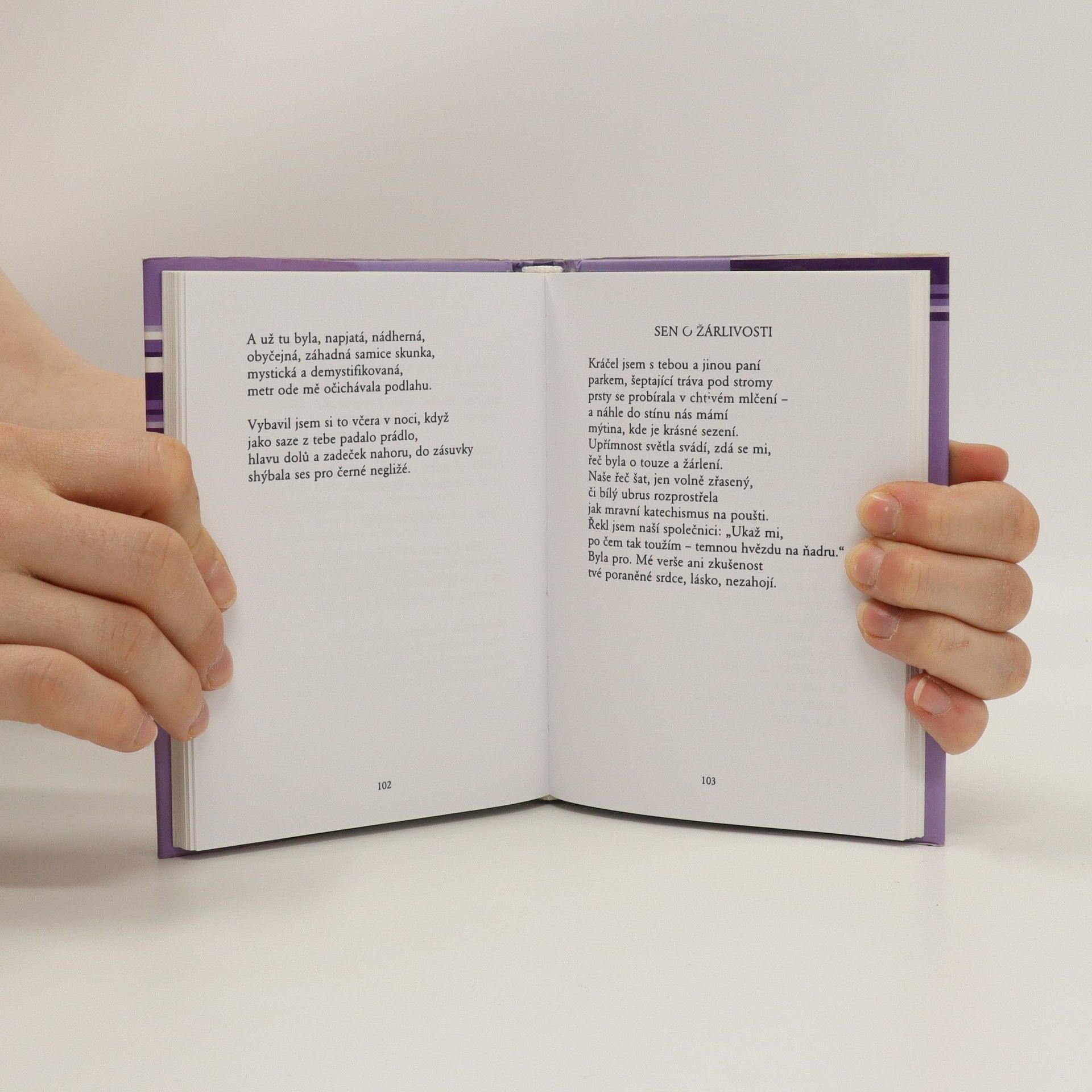 Seamus Heaney Přezimování pod širým nebem