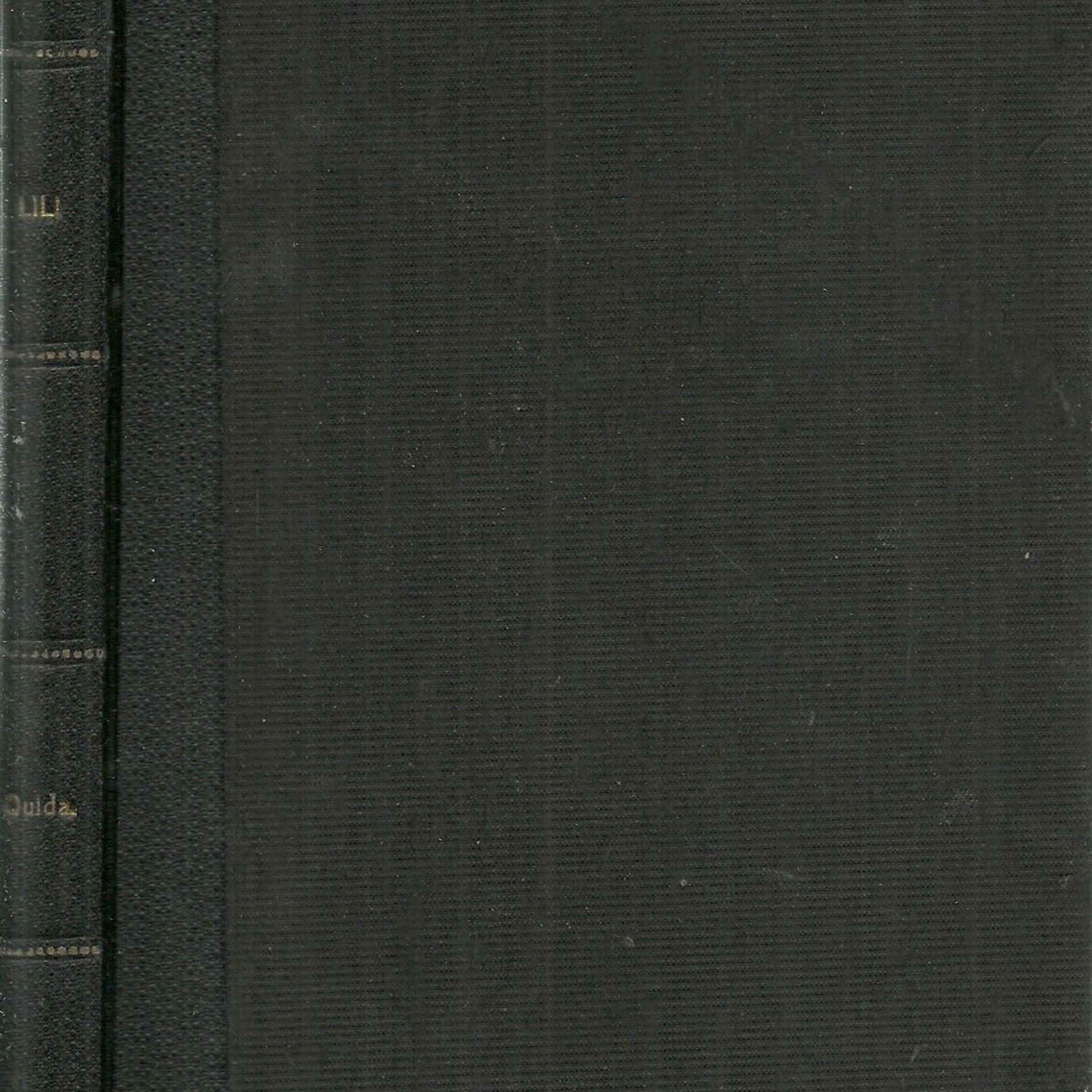 Autorenkollektiv Lili