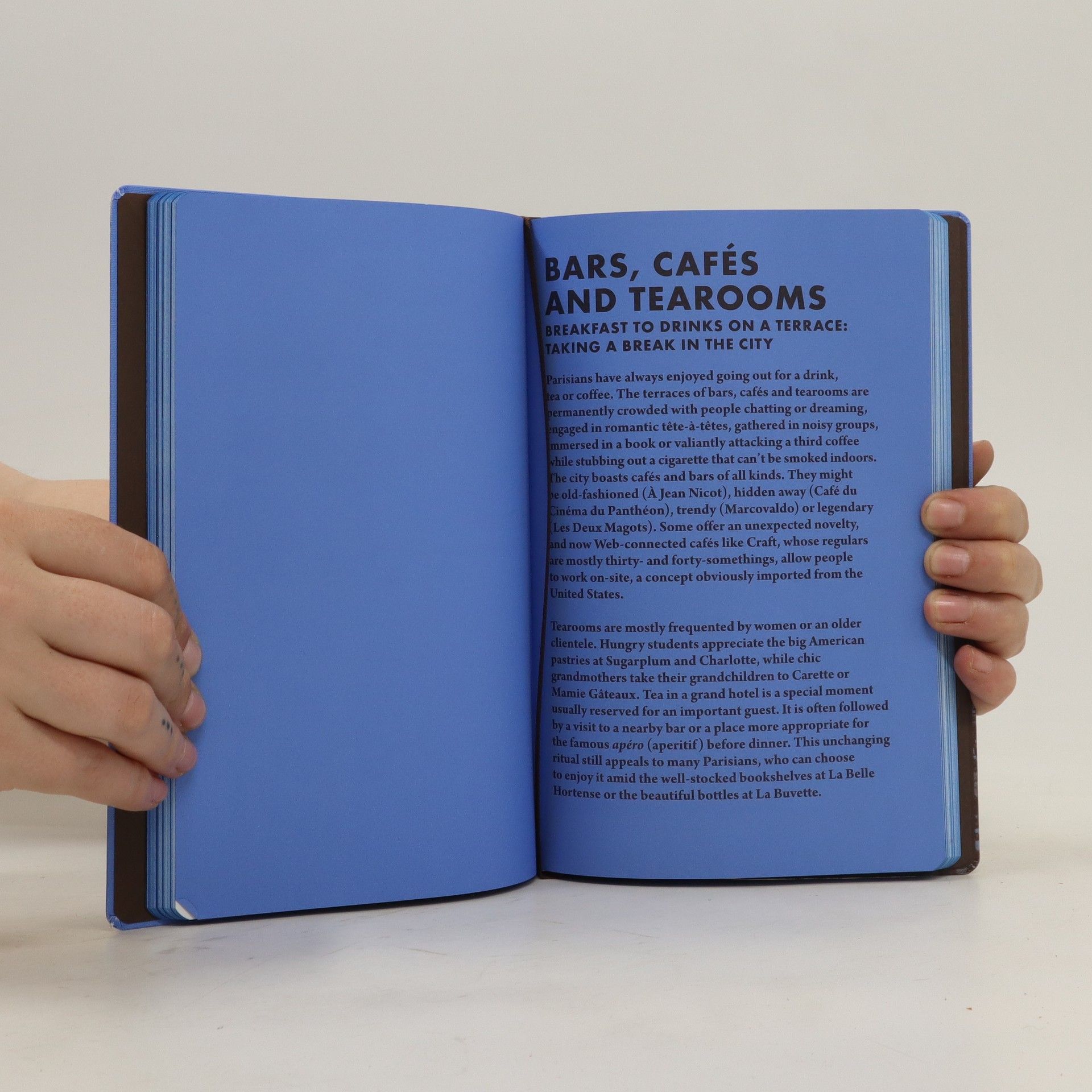 Collectif d'auteurs Paris. Louis Vuitton City Guide
