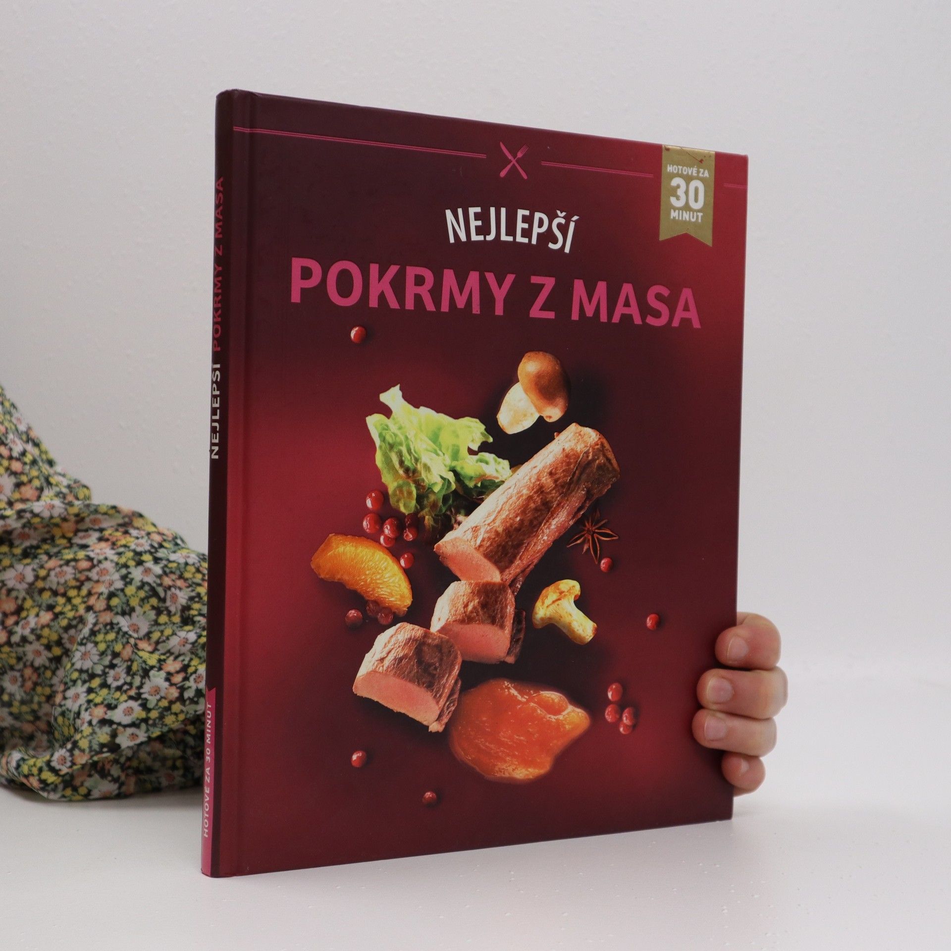 Collectif d'auteurs Nejlepší pokrmy z masa