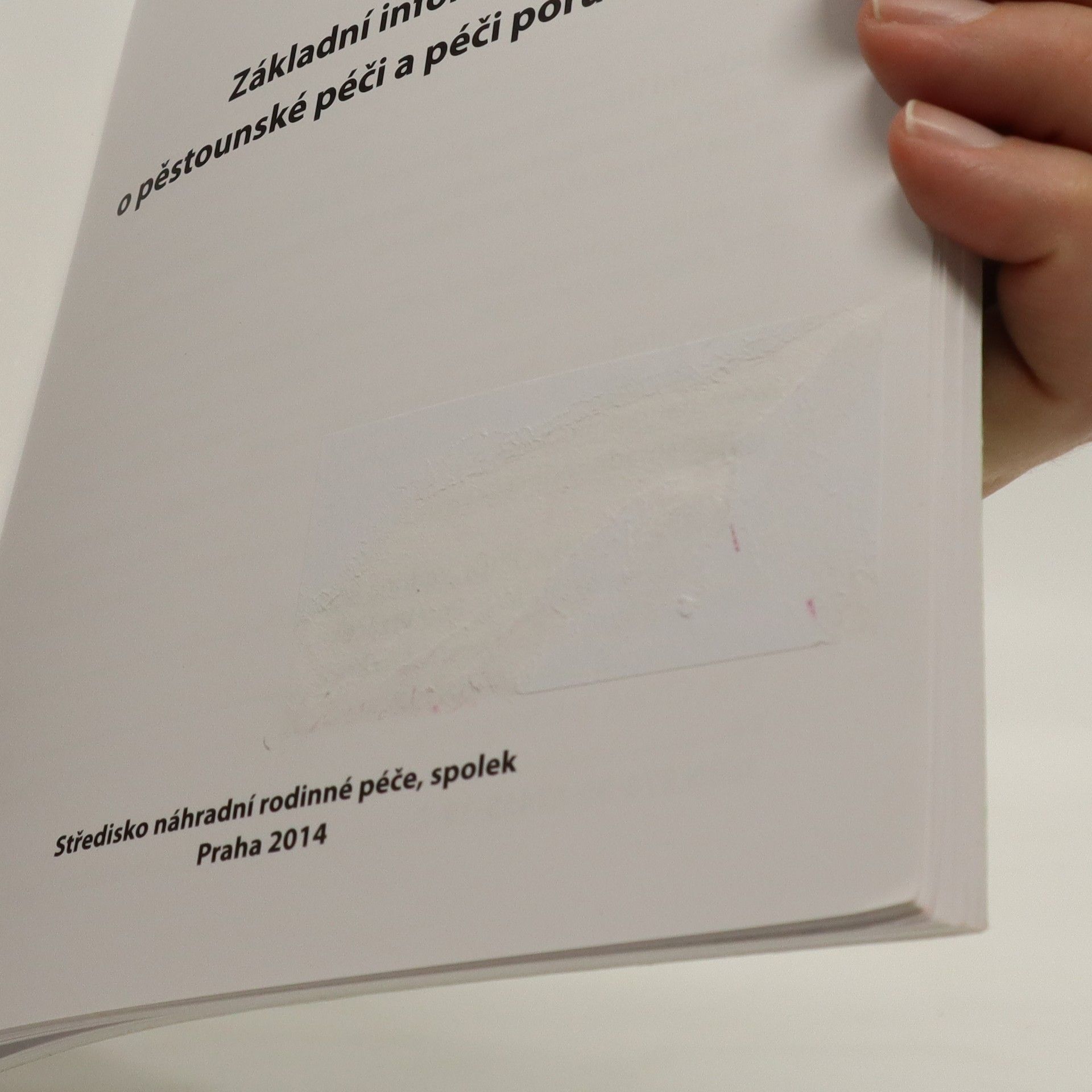 Věduna Bubleová Základní informace o pěstounské péči a péči poručníka