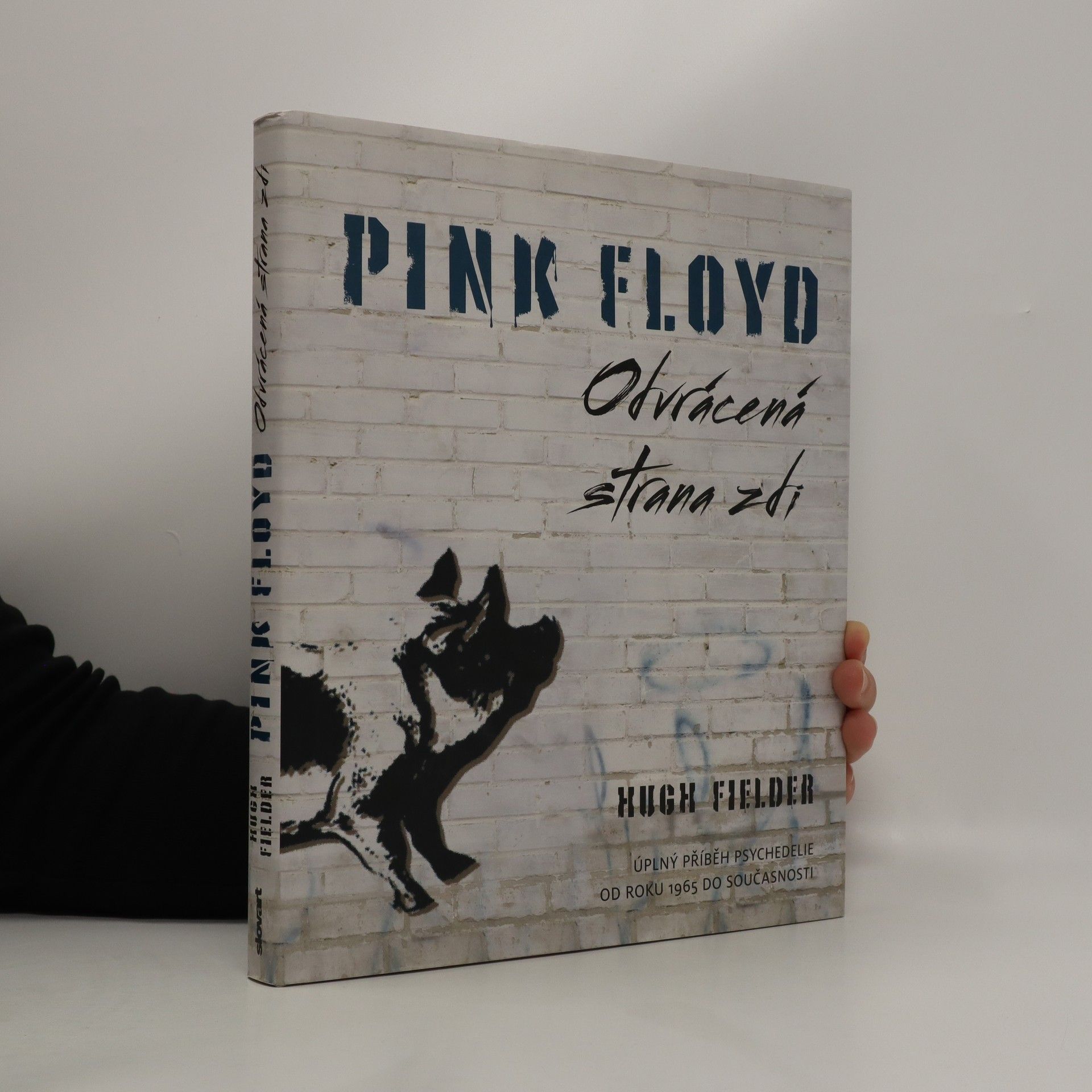 Hugh Fielder Pink Floyd : odvrácená strana zdi : úplný příběh psychedelie od roku 1965 do současnosti