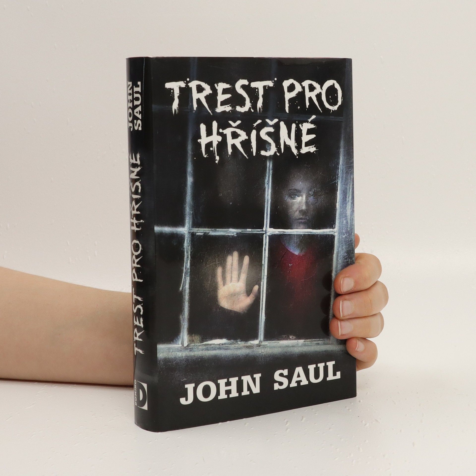 John Saul Trest pro hříšné