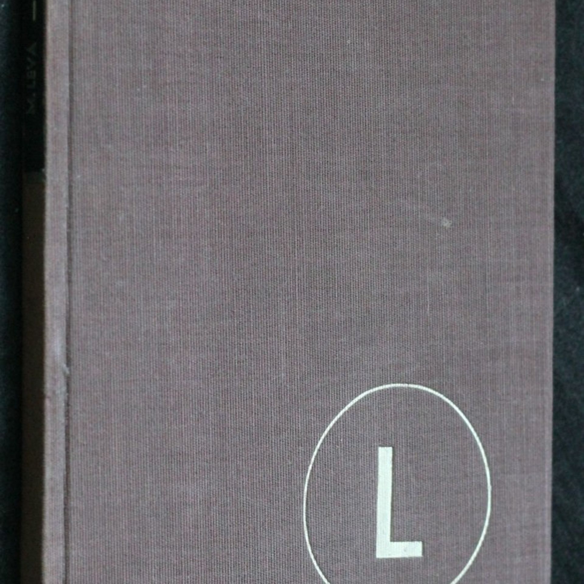 V pokušení : Román. příběh