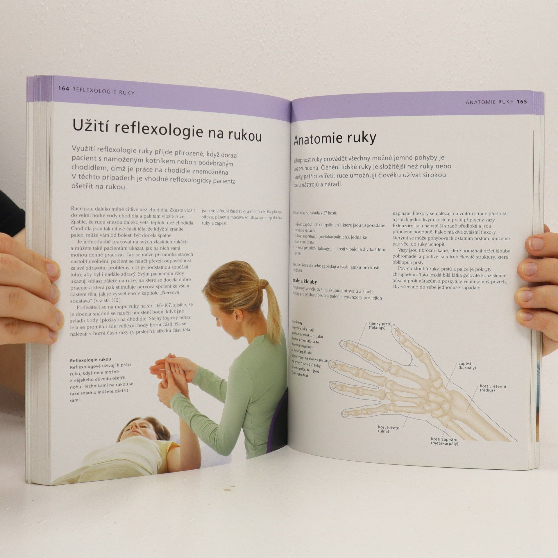 Ann Gillanders Velká kniha reflexologie : všechno, co potřebujete vědět z teorie i praxe