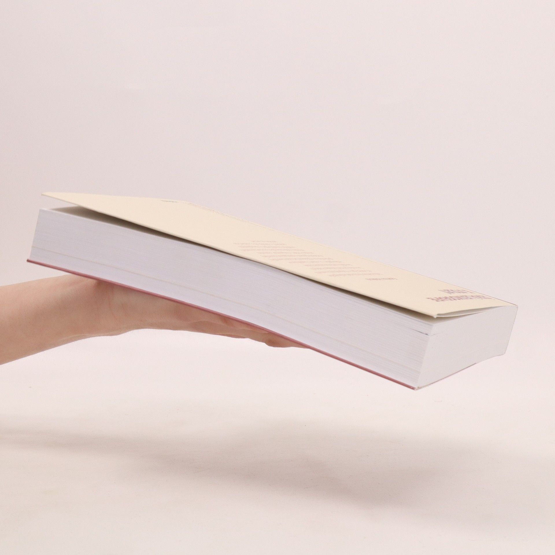Kateřina Voleková Česká lexikografie 15. století