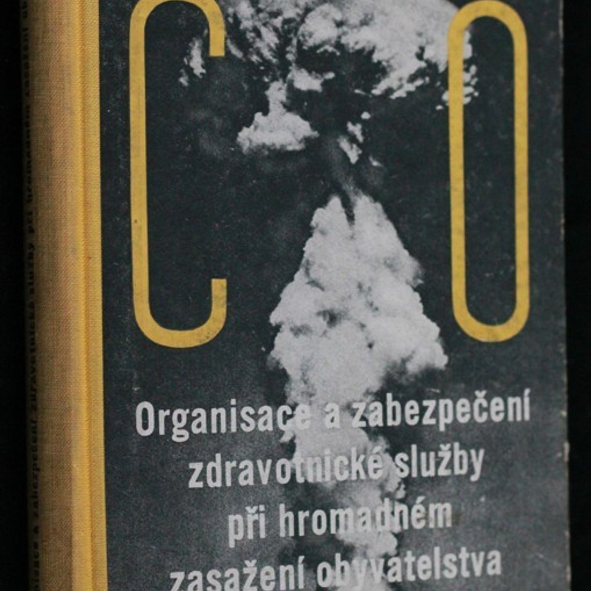 Organisace a zabezpečení zdravotnické služby při hromadném zasažení obyvatelstva