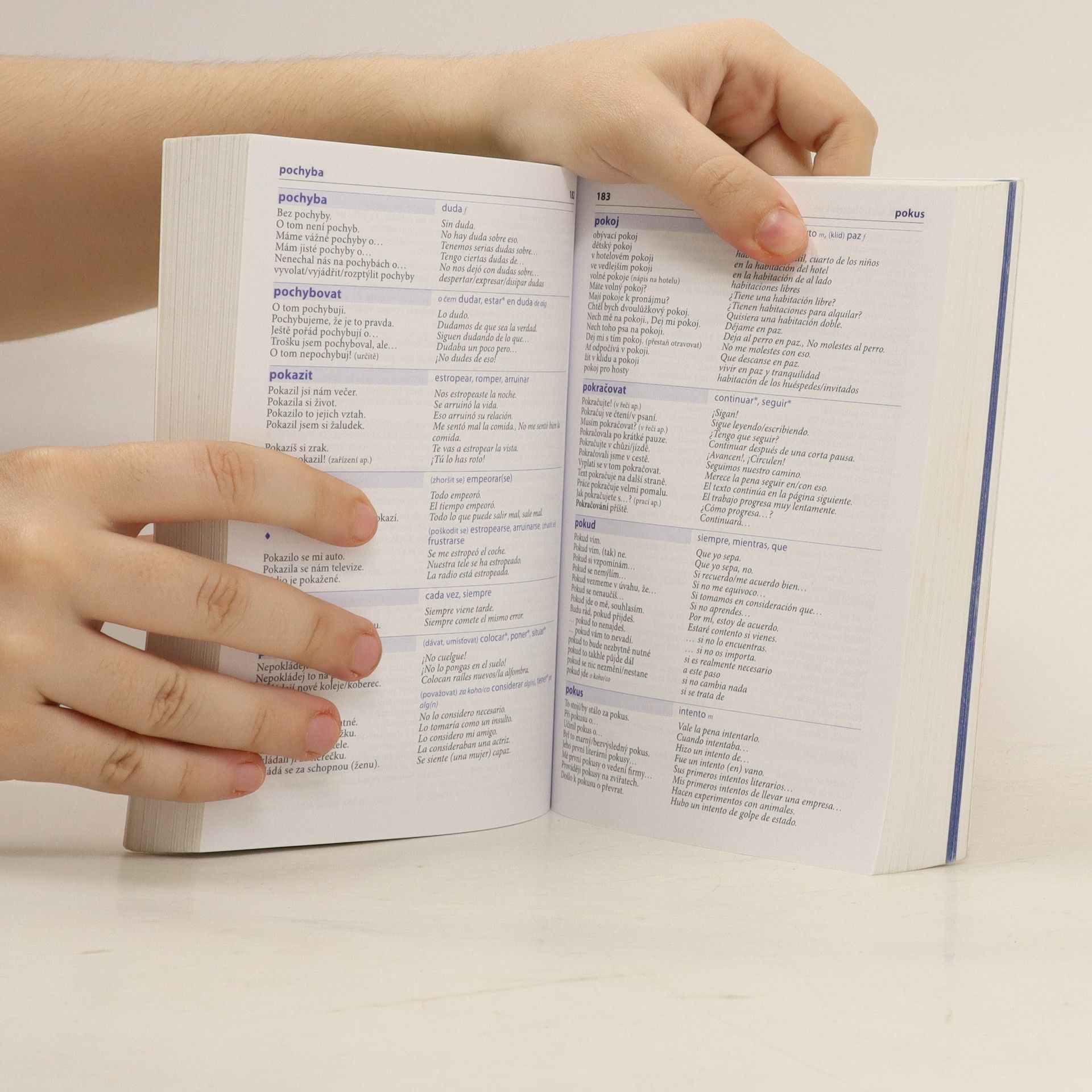Autorenkollektiv Česko-španělský mluvník