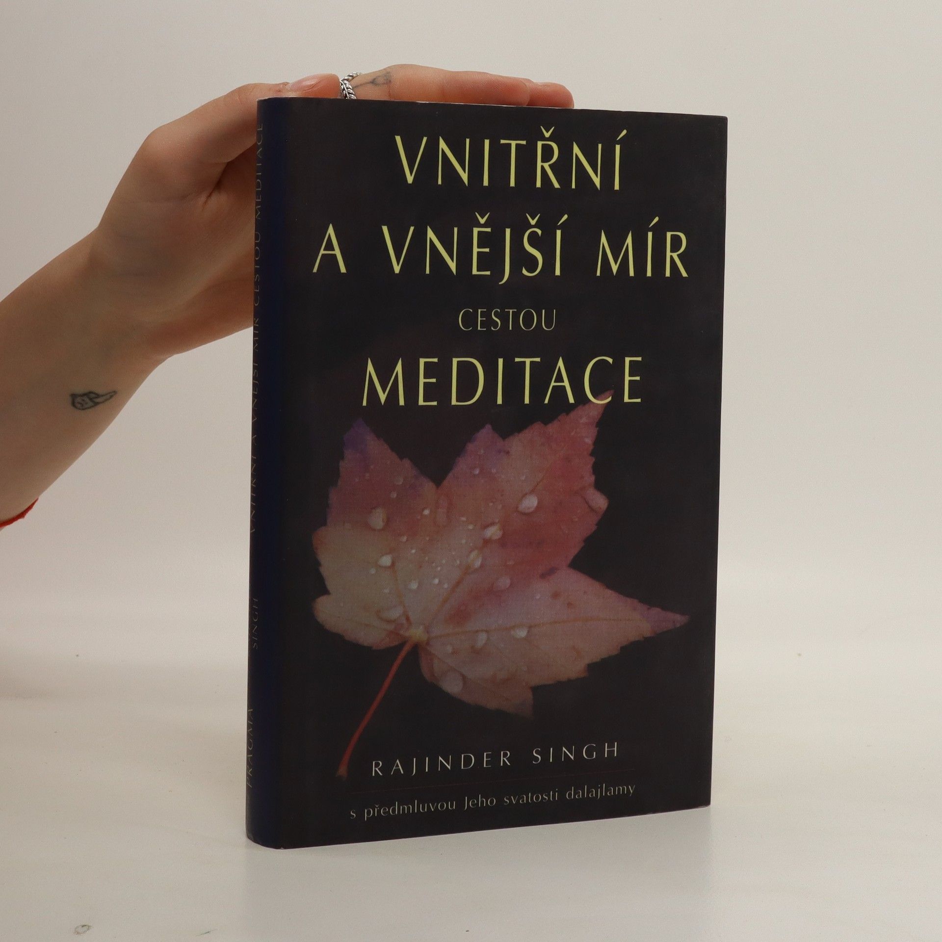 Rajinder Singh Vnitřní a vnější mír cestou meditace