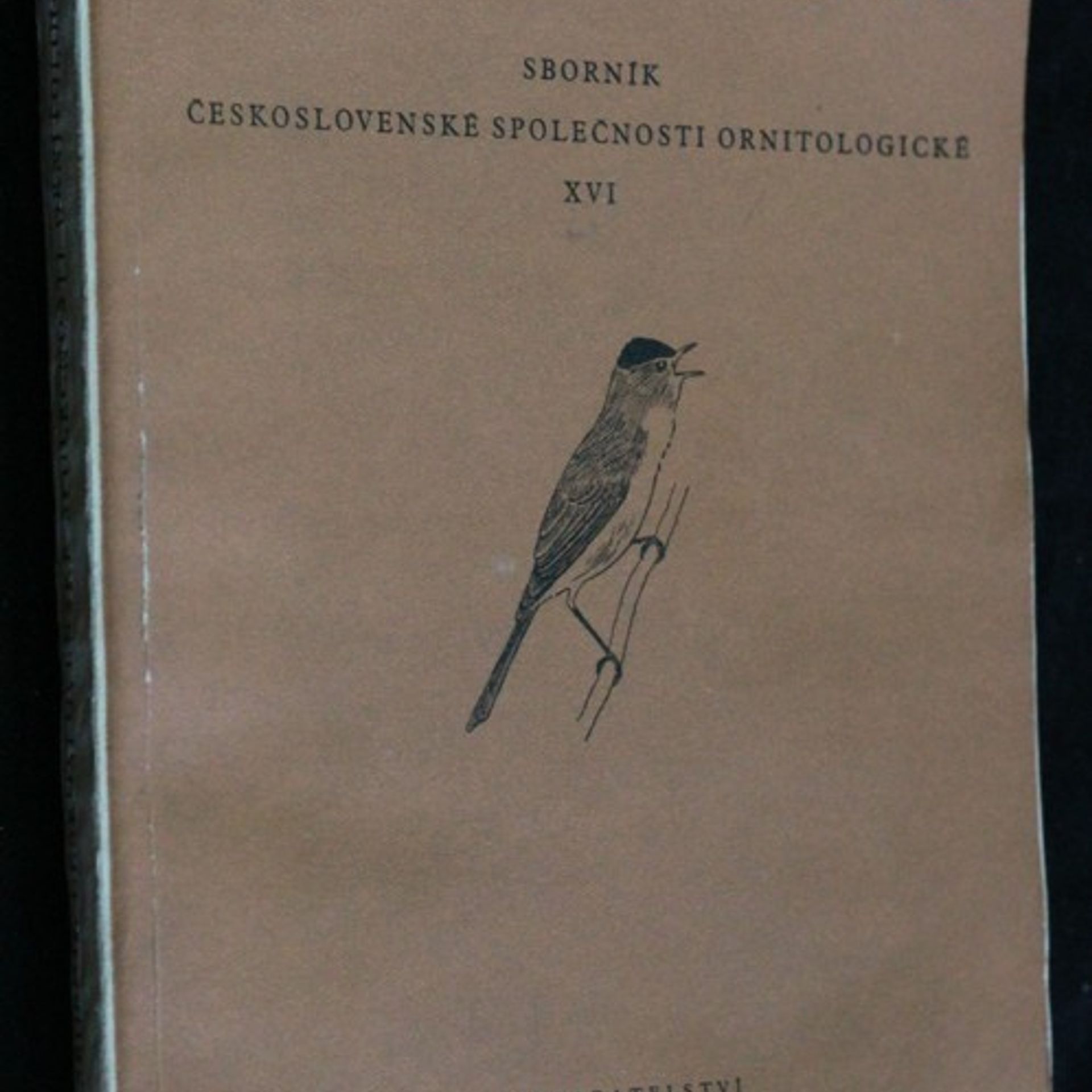 Collectif d'auteurs Sylvia XVI