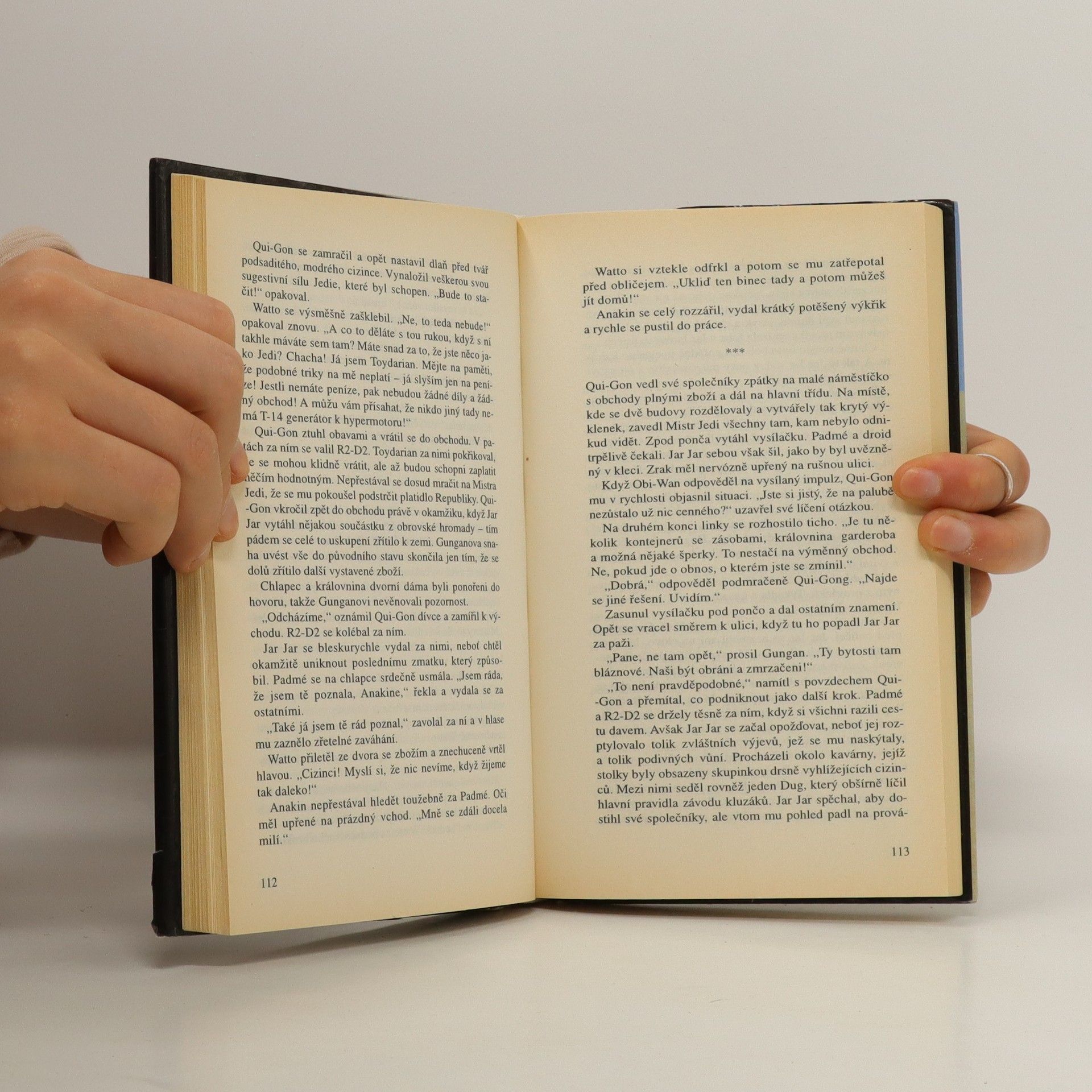 Terry Brooks Star Wars. Epizoda I., Skrytá hrozba