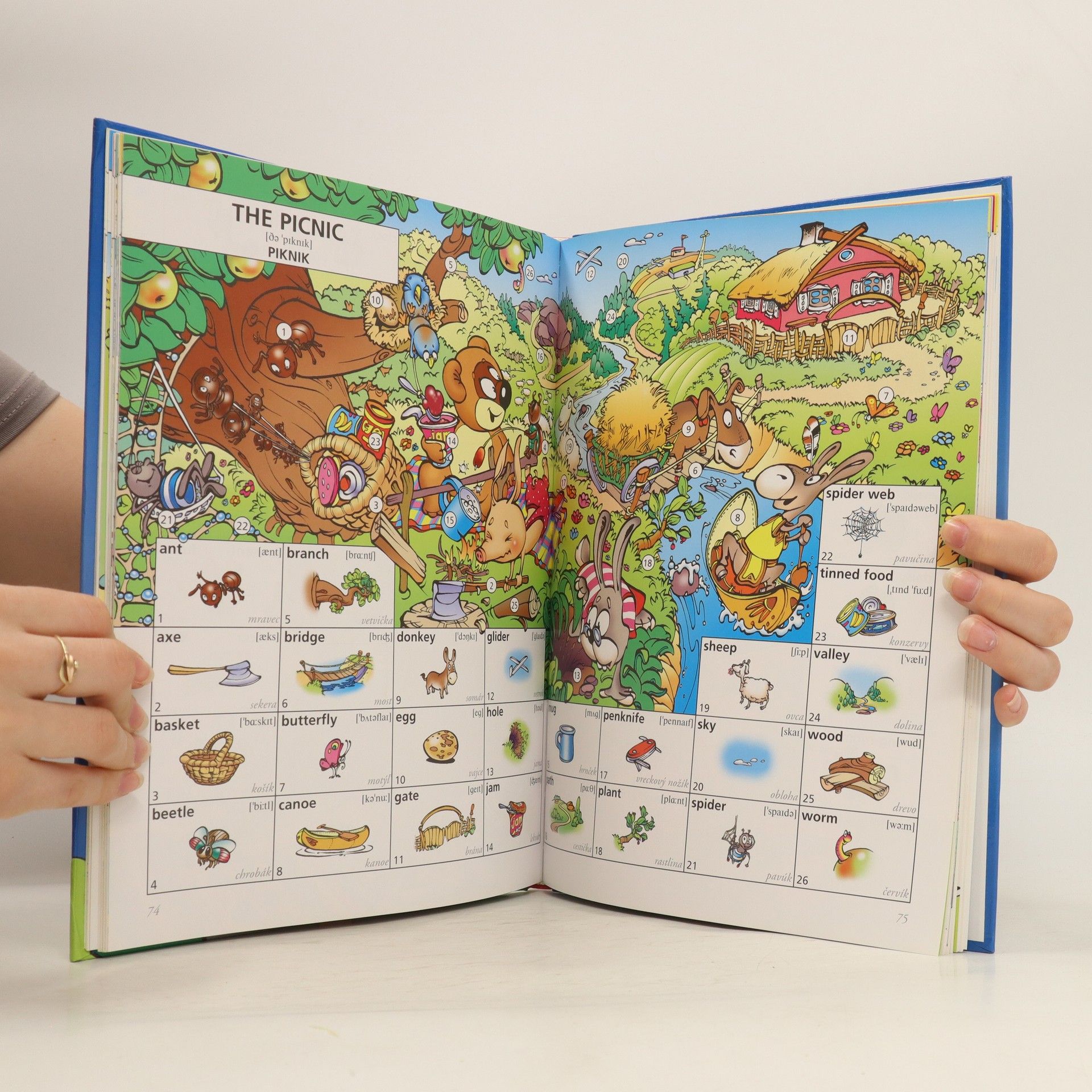 Various authors Ilustrovaný anglický slovník pre deti