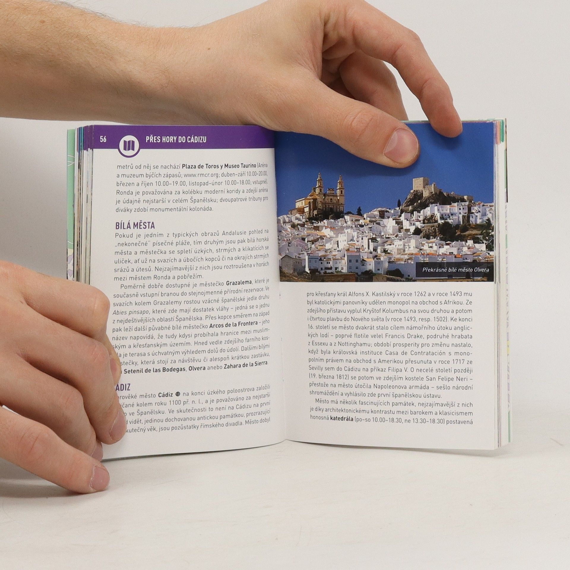 Collectif d'auteurs Andalusie a Costa del Sol