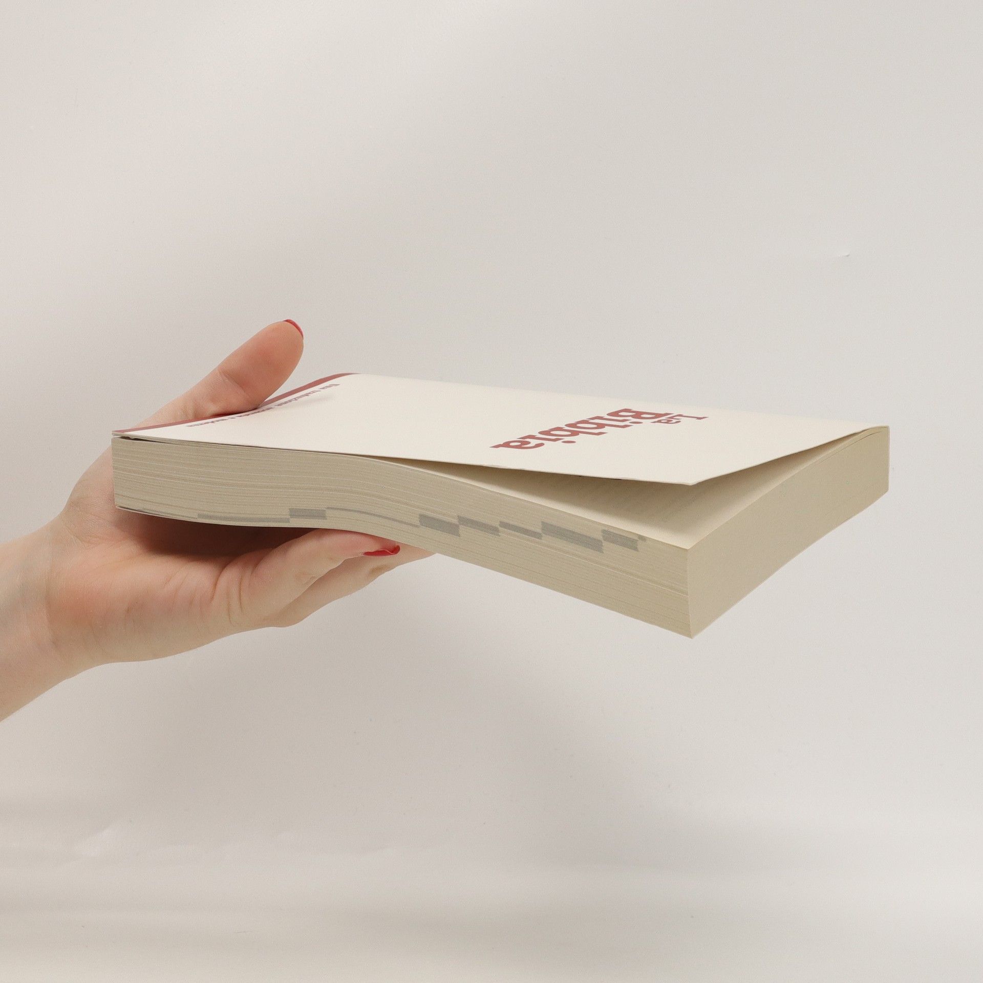 Collectif d'auteurs La Bibbia
