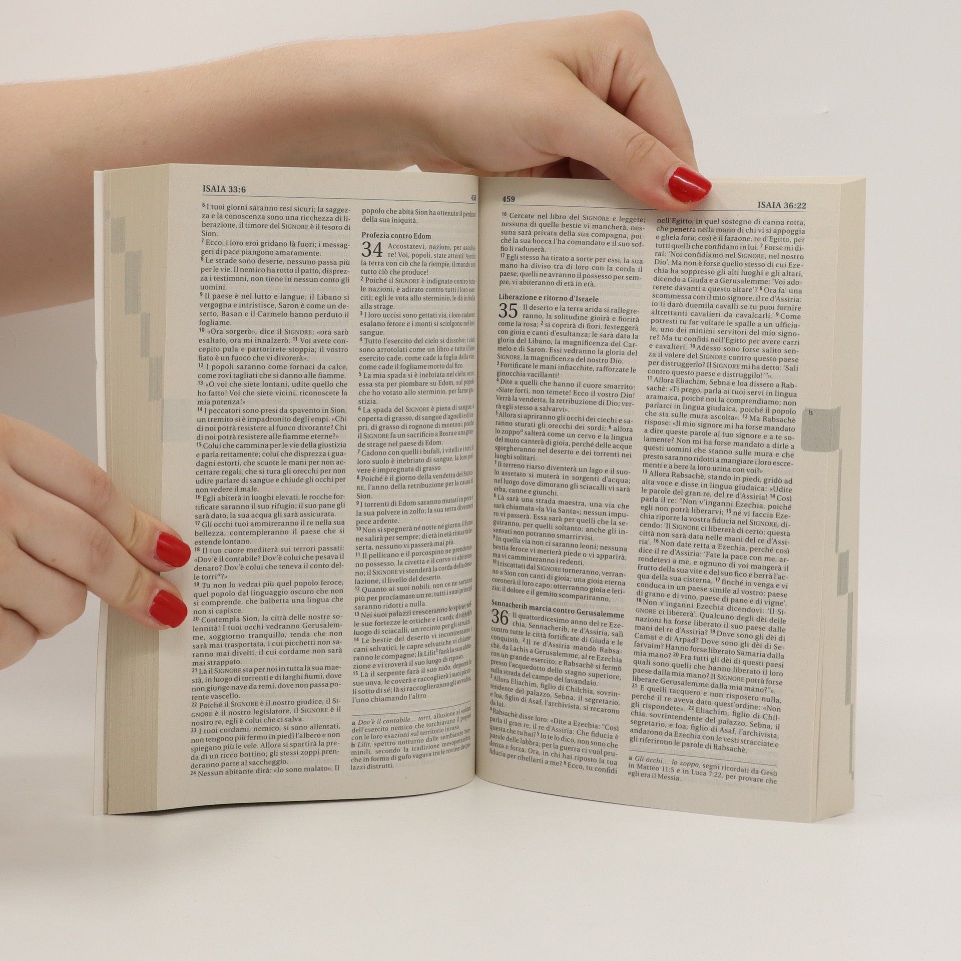 Collectif d'auteurs La Bibbia