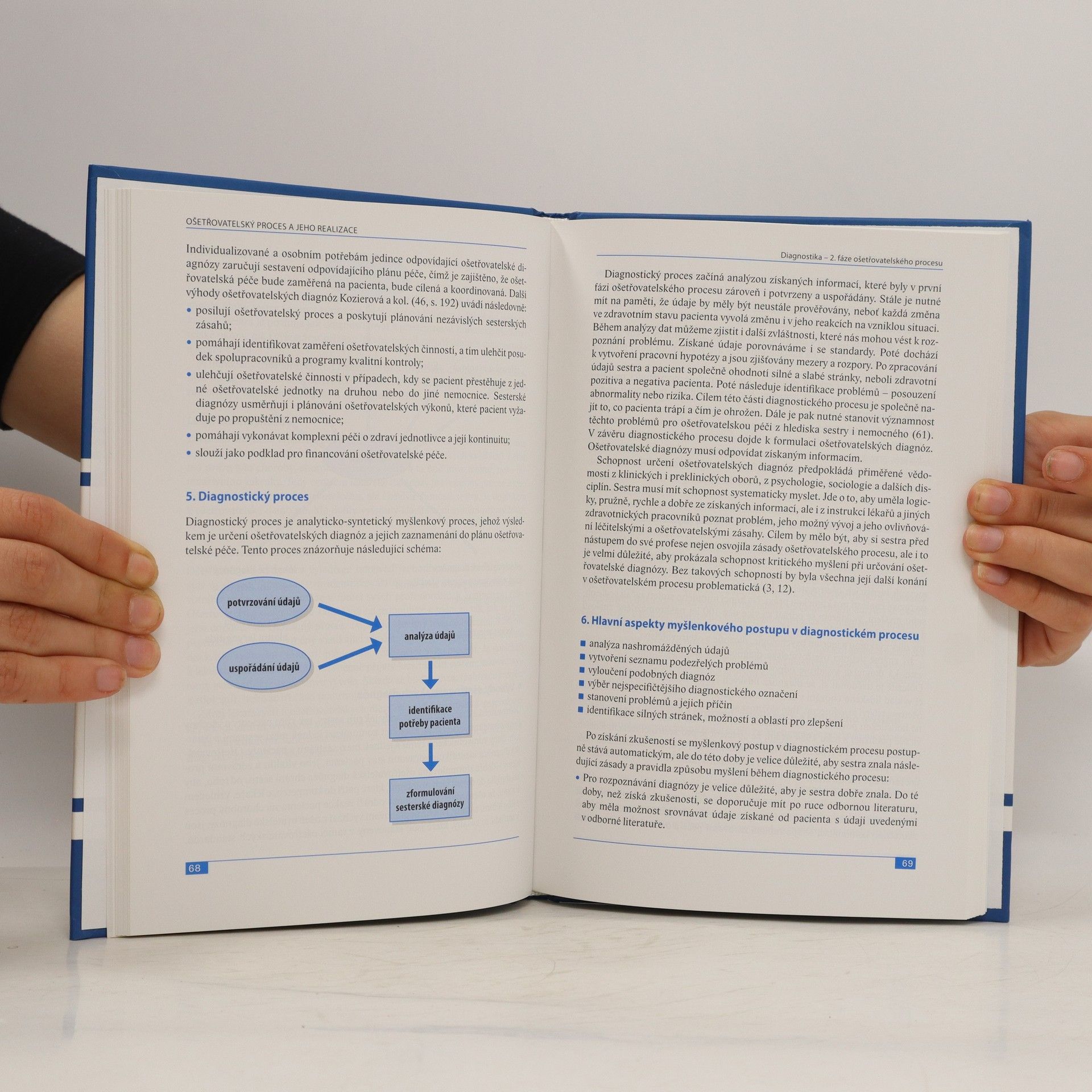 Autorenkollektiv Ošetřovatelský proces a jeho realizace