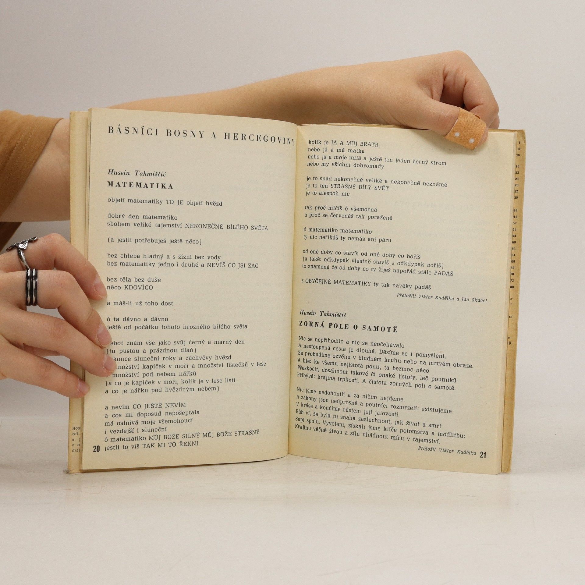 Autores varios Host do domu. Ročník XIV. 10