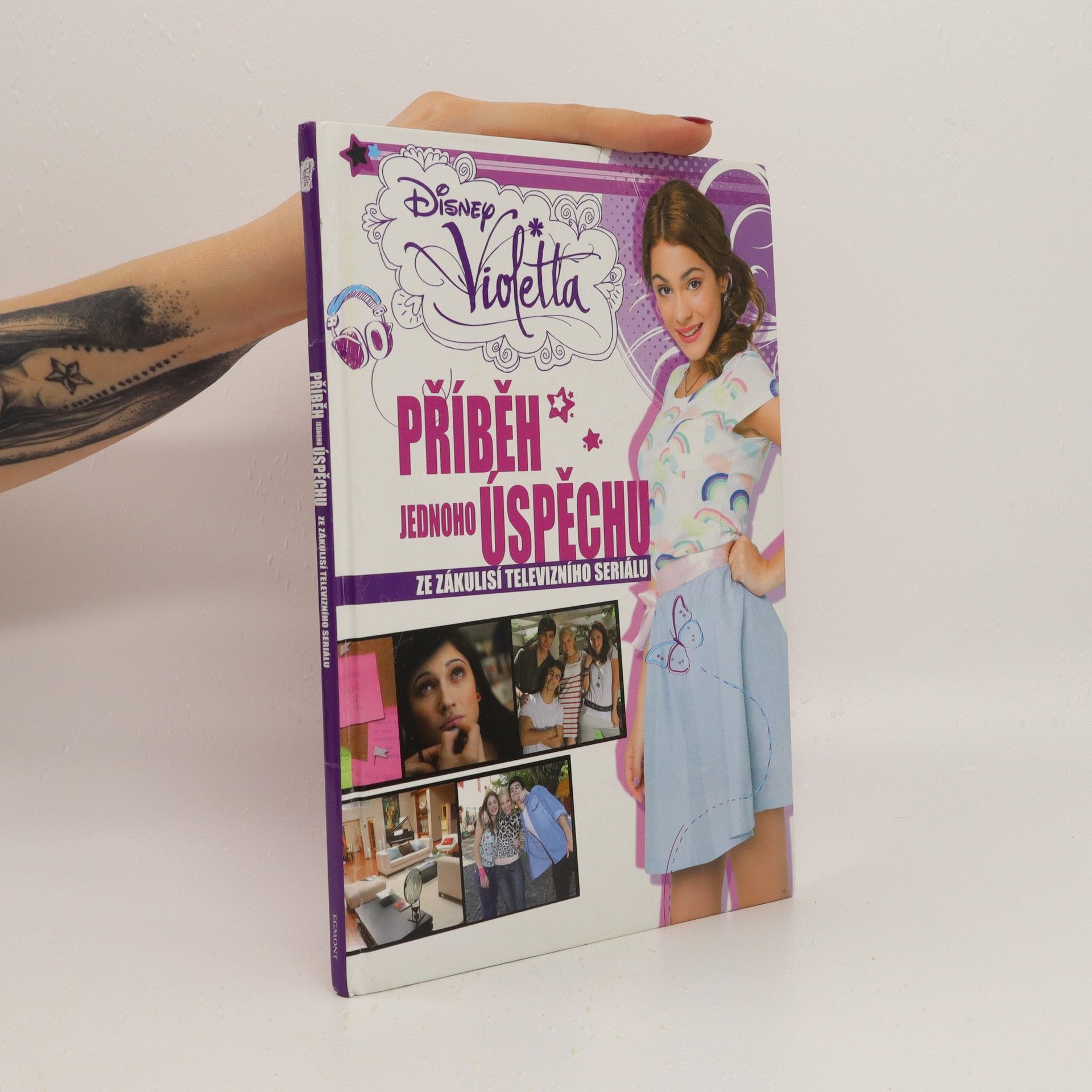 Alice Flemrová Příběh jednoho úspěchu : ze zákulisí televizního seriálu
