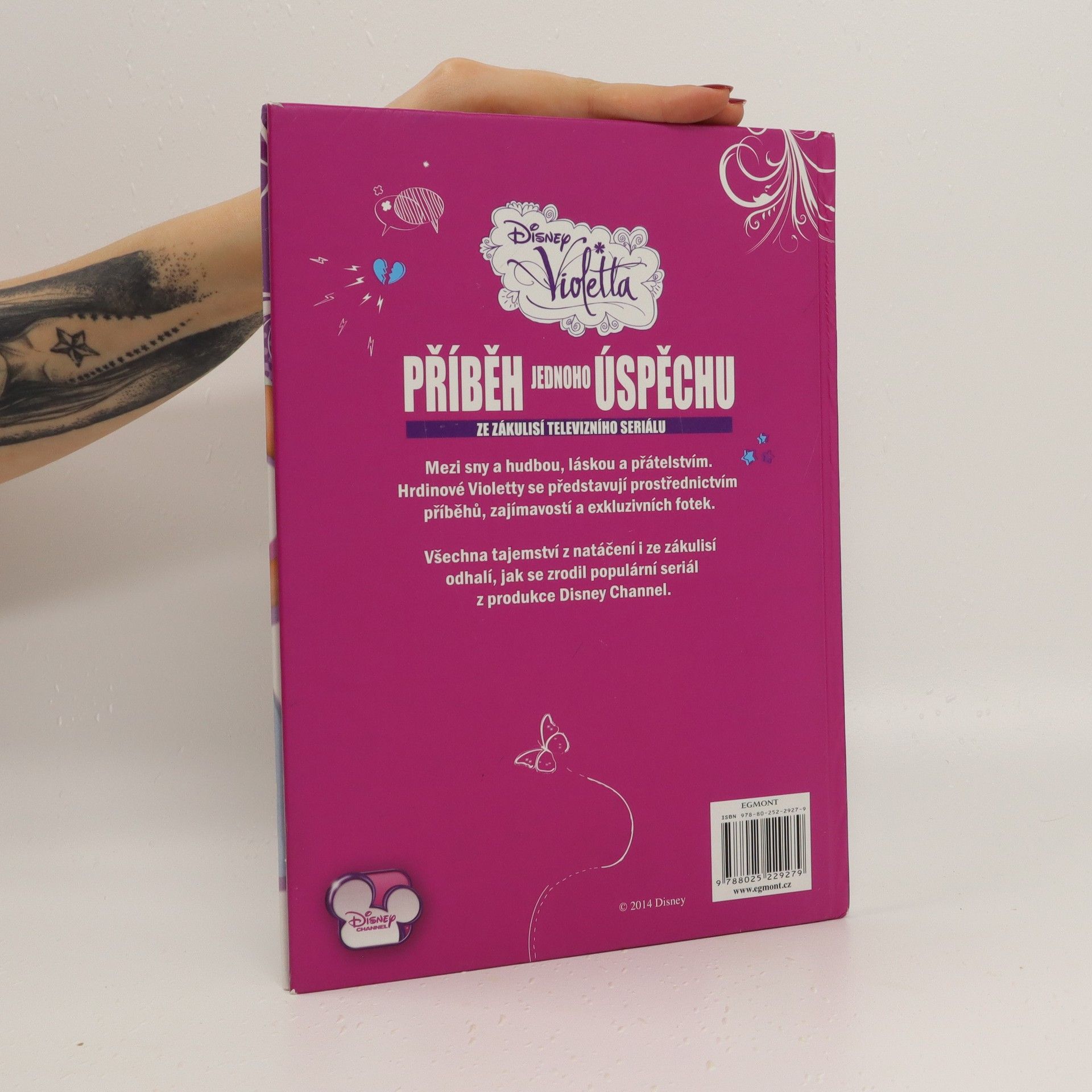 Alice Flemrová Příběh jednoho úspěchu : ze zákulisí televizního seriálu