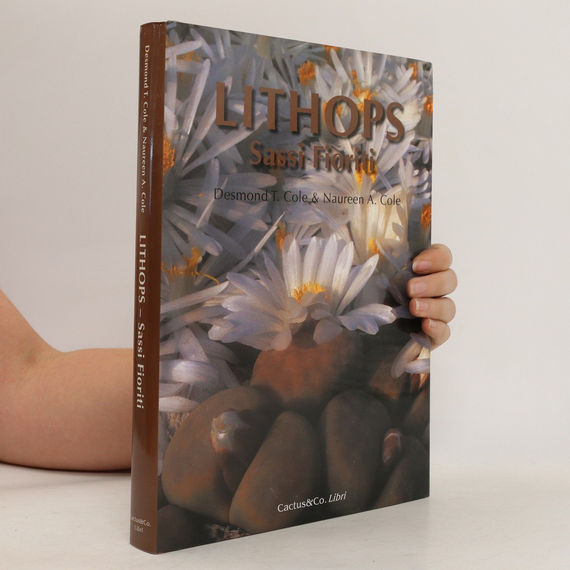 Maureen Cole Lithops. Sassi fioriti