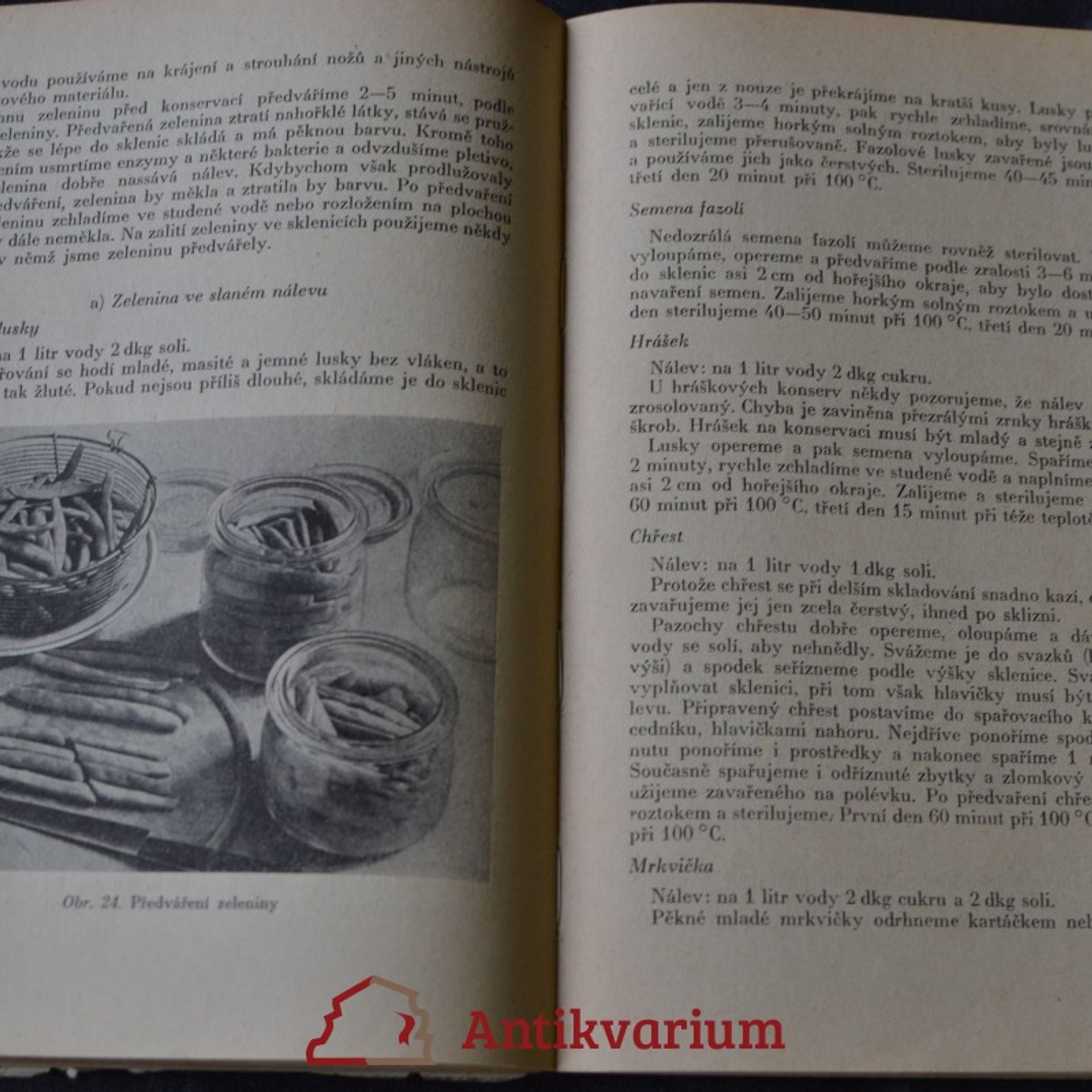 Marie Havelková Konservace potravin v domácnosti