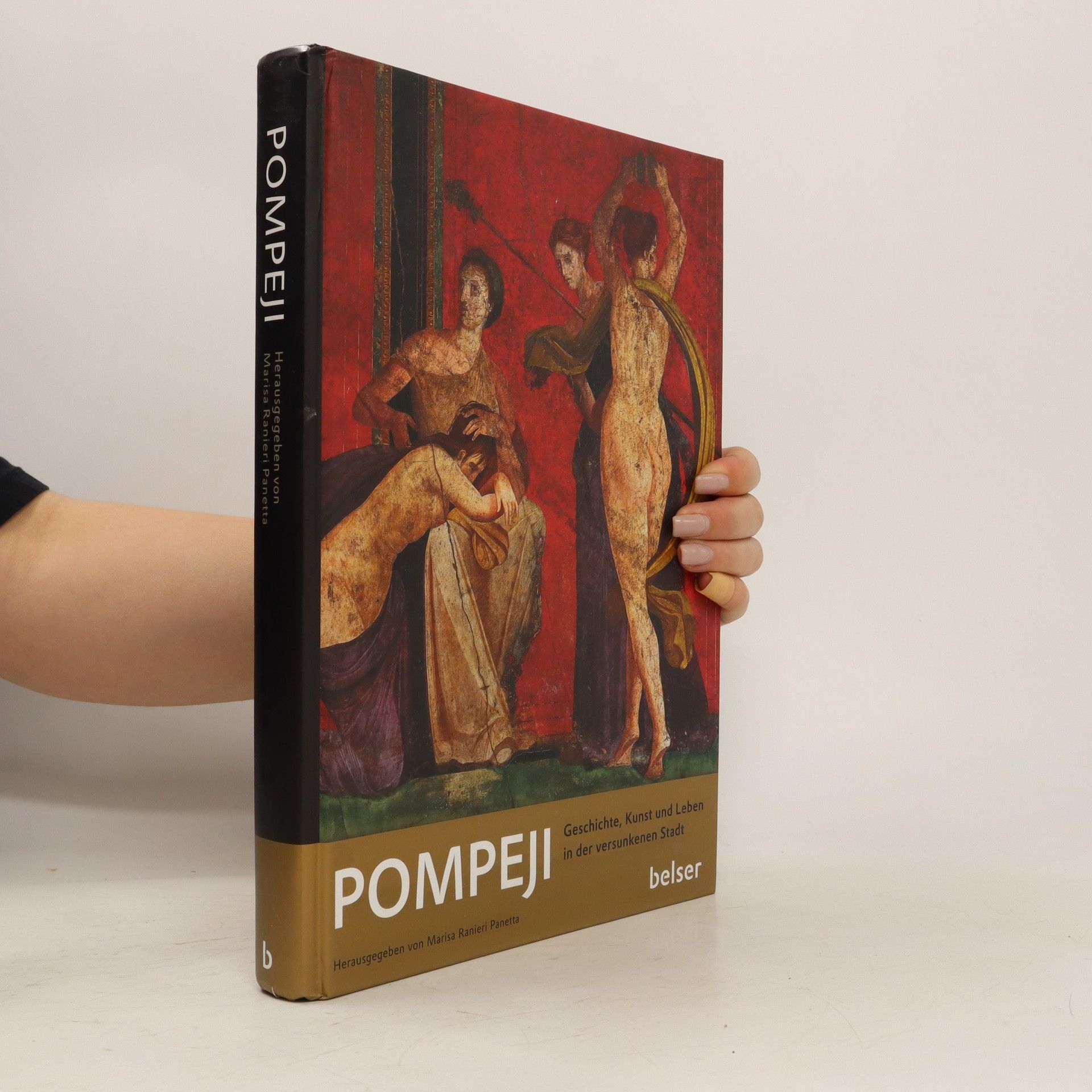 Autorenkollektiv Pompeji: Geschichte, Kunst und Leben in der versunkenen Stadt