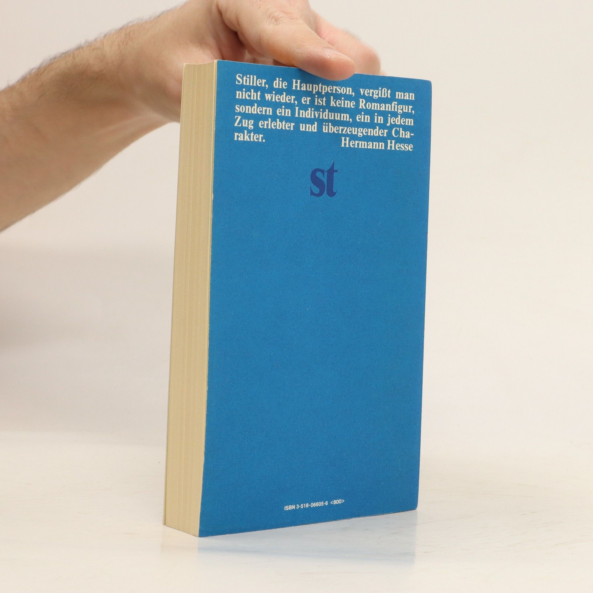 Max Frisch Stiller