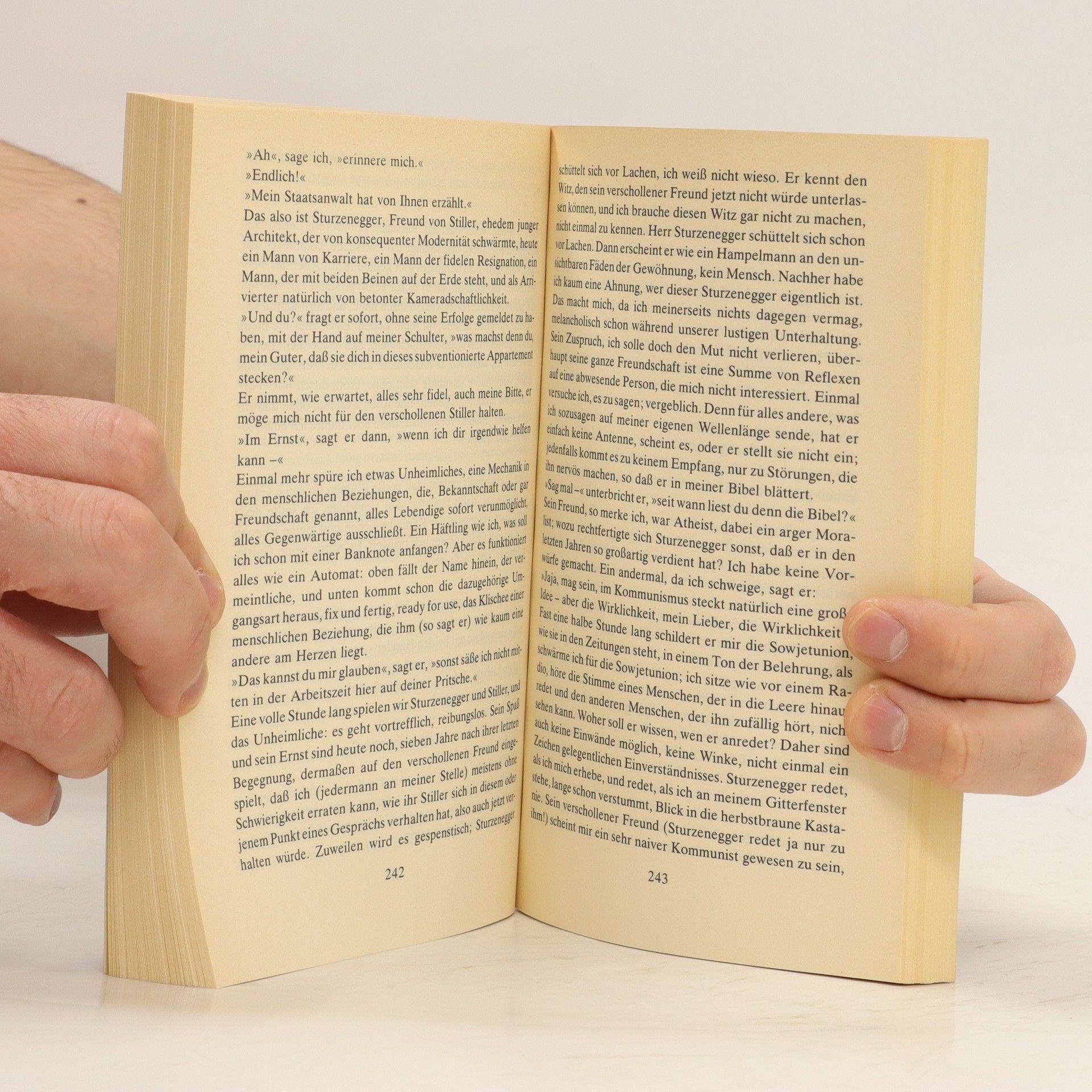 Max Frisch Stiller
