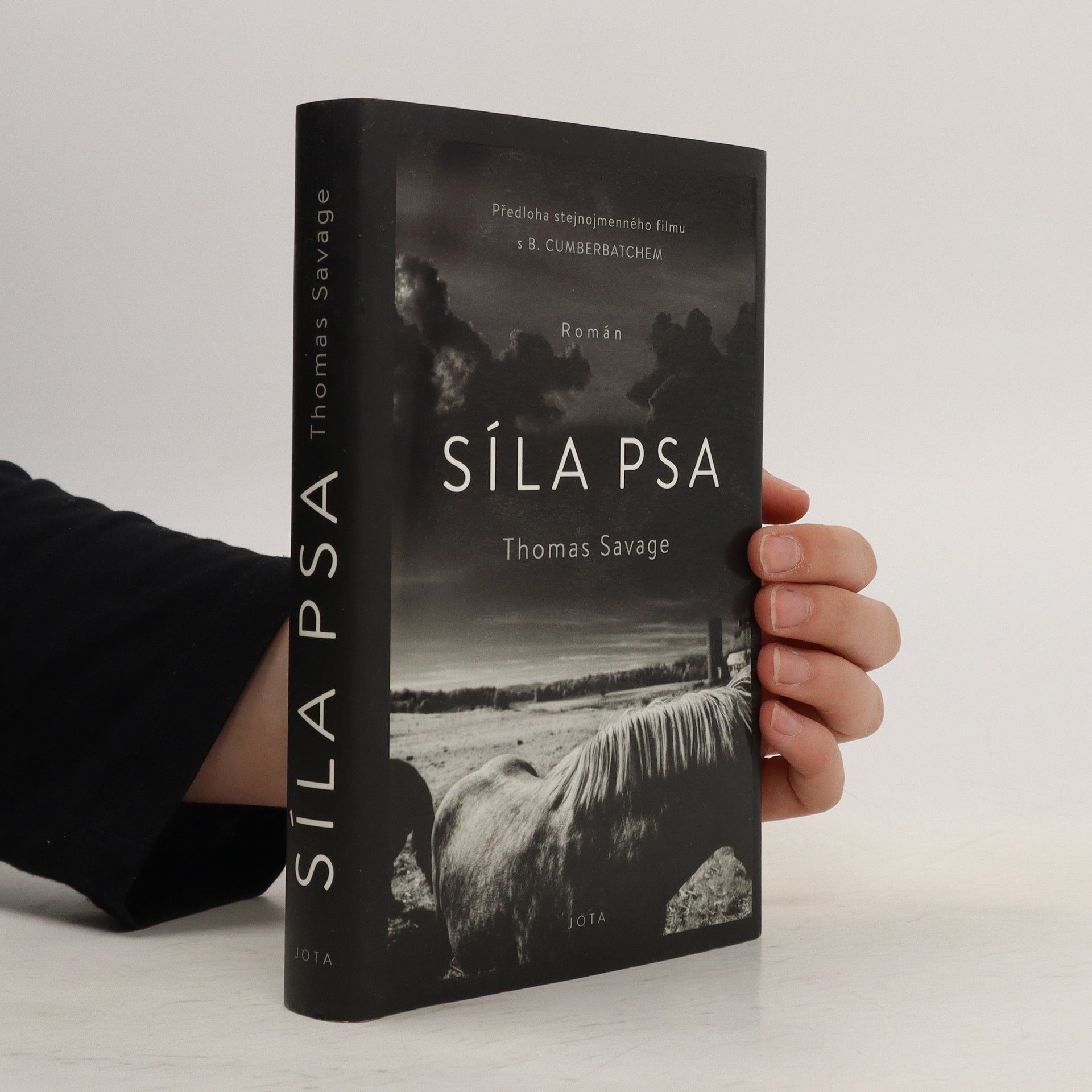 Thomas Savage Síla psa