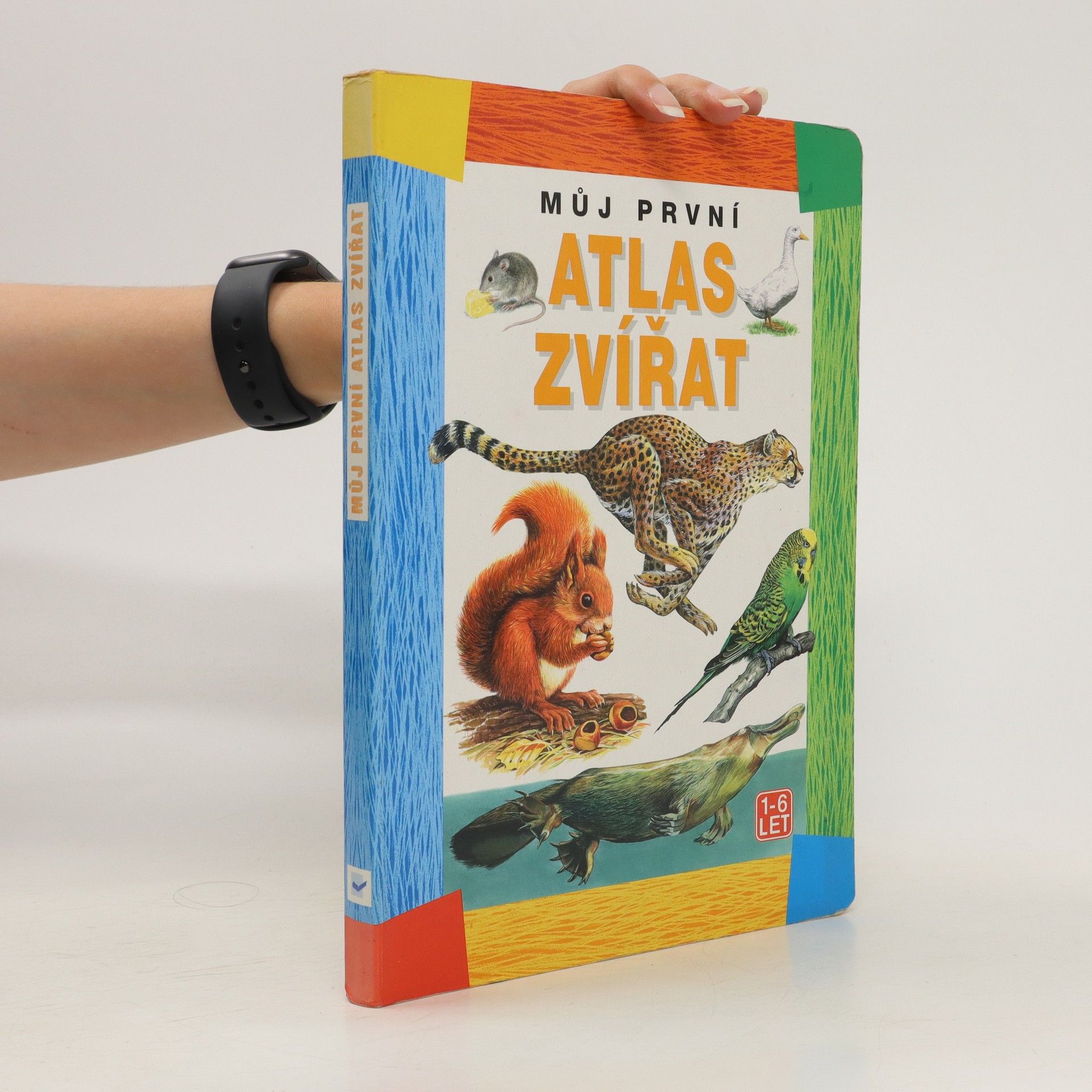 Autorenkollektiv Můj první atlas zvířat