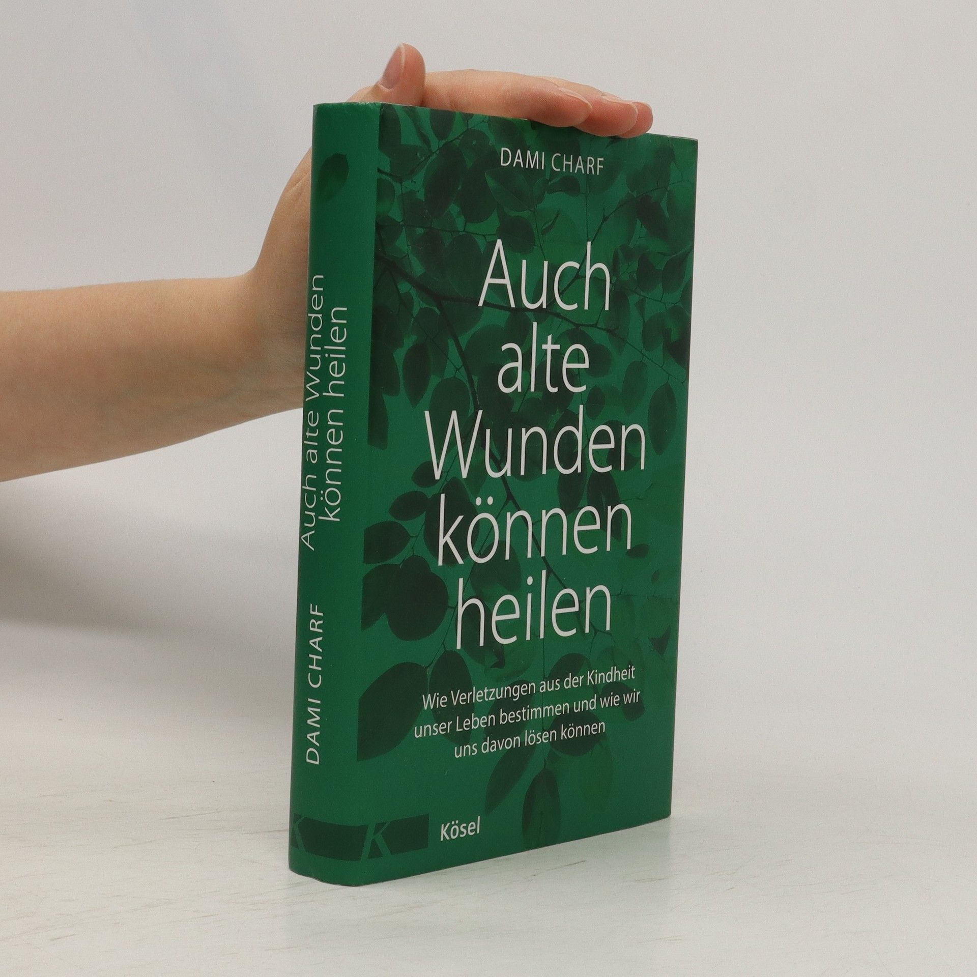 Dami Charf Auch alte Wunden können heilen