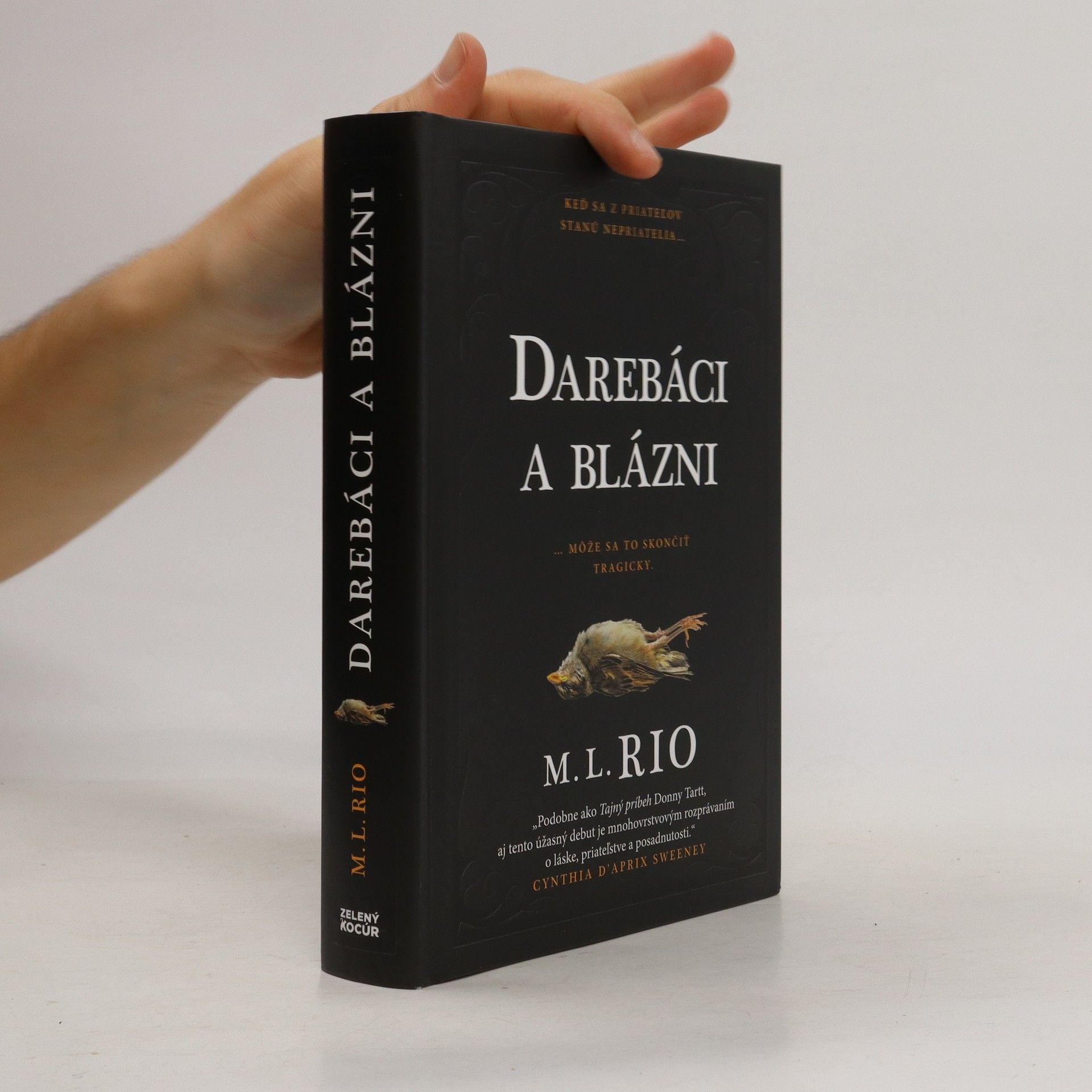 M. L. Rio Darebáci a blázni