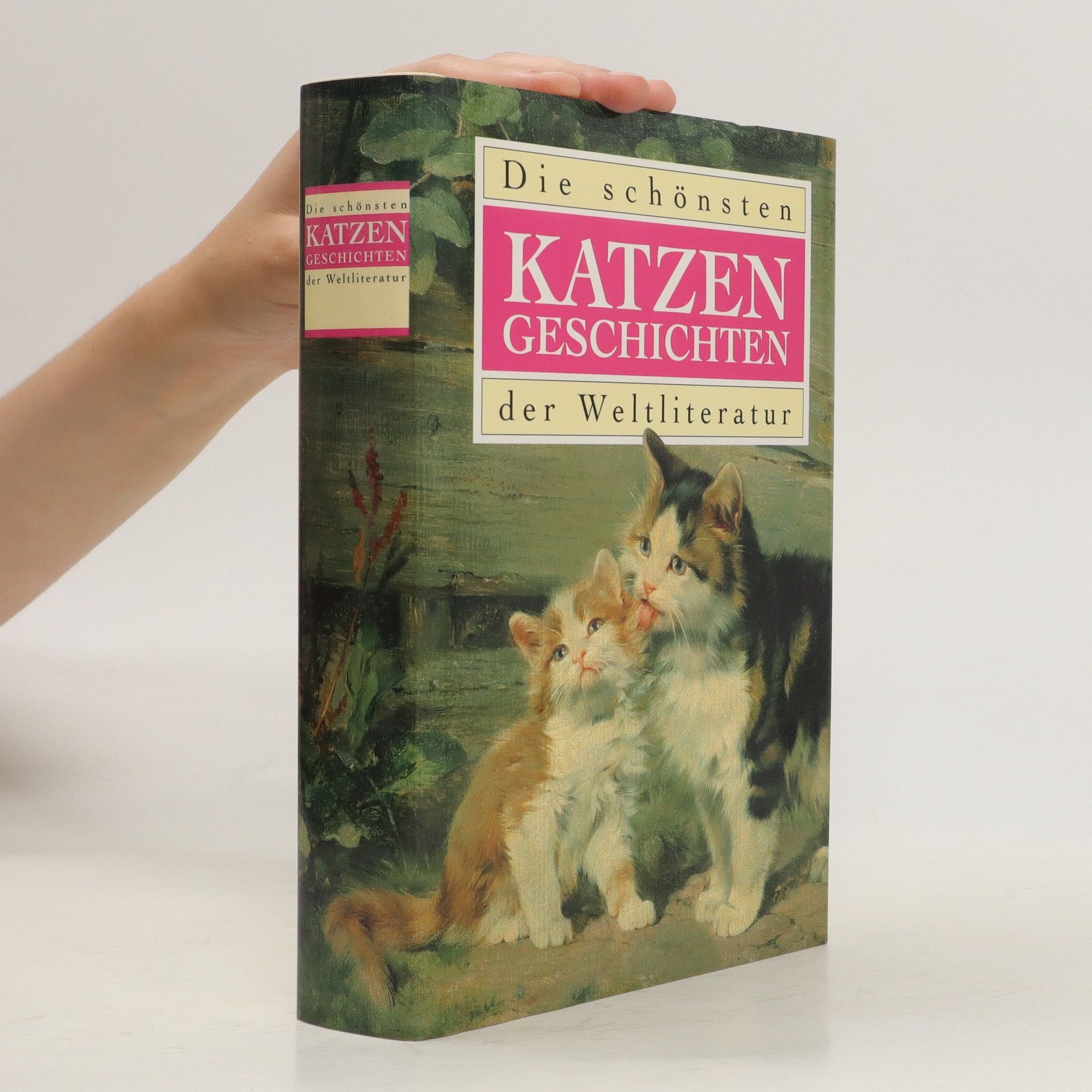Autorenkollektiv Die schönsten Katzen geschichten der Weltliteratur