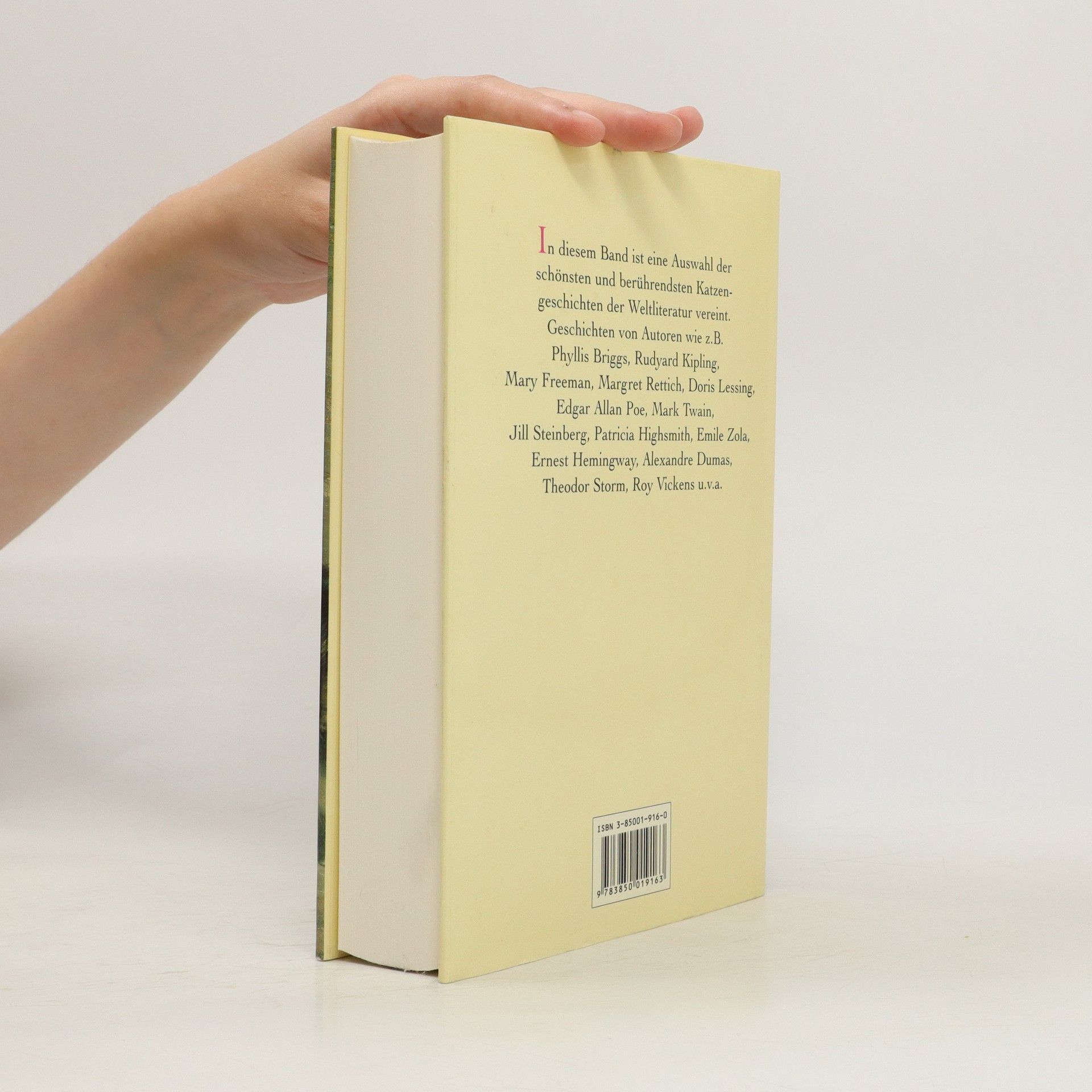 Autorenkollektiv Die schönsten Katzen geschichten der Weltliteratur