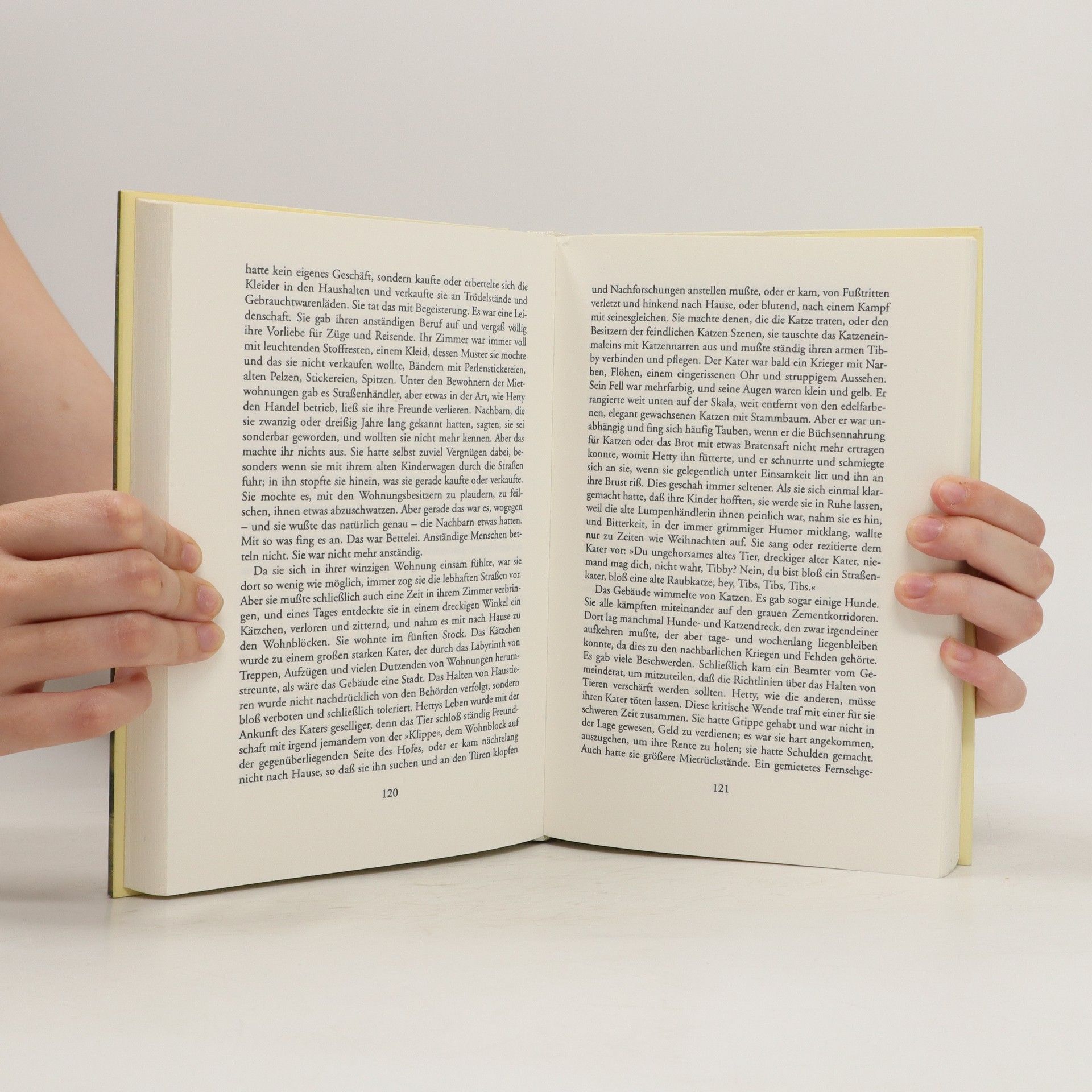 Autorenkollektiv Die schönsten Katzen geschichten der Weltliteratur