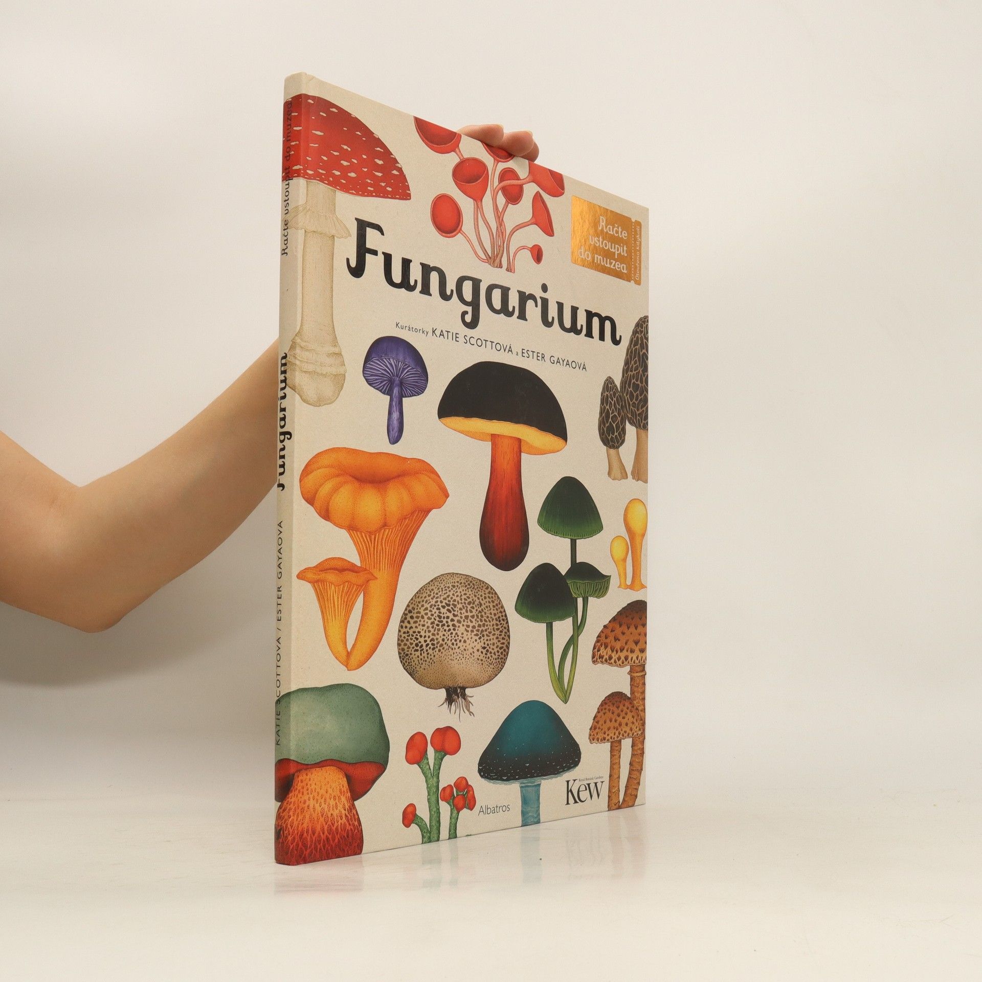 Lily Murray Fungarium