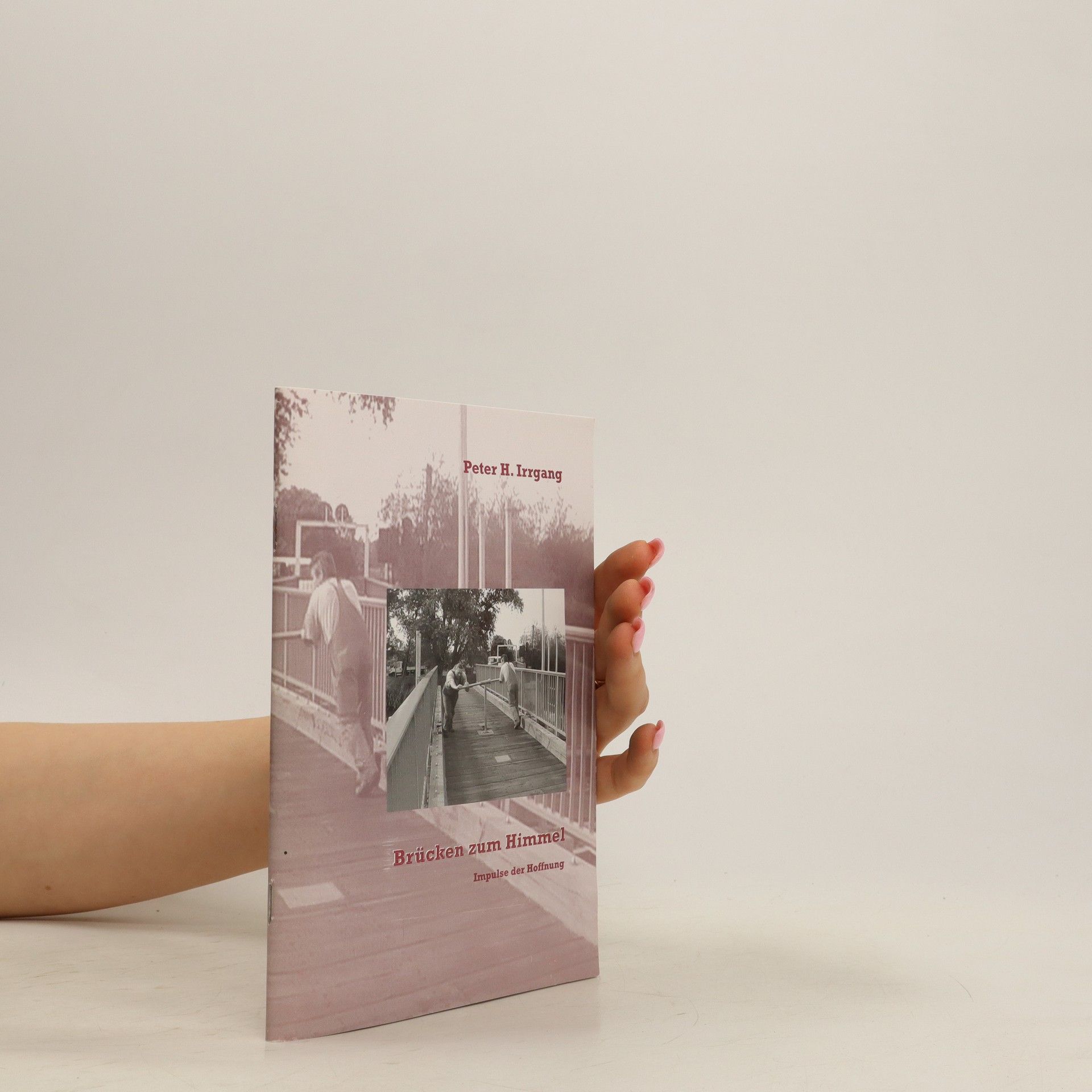 Peter H. Irrgang Brücken zum Himmel