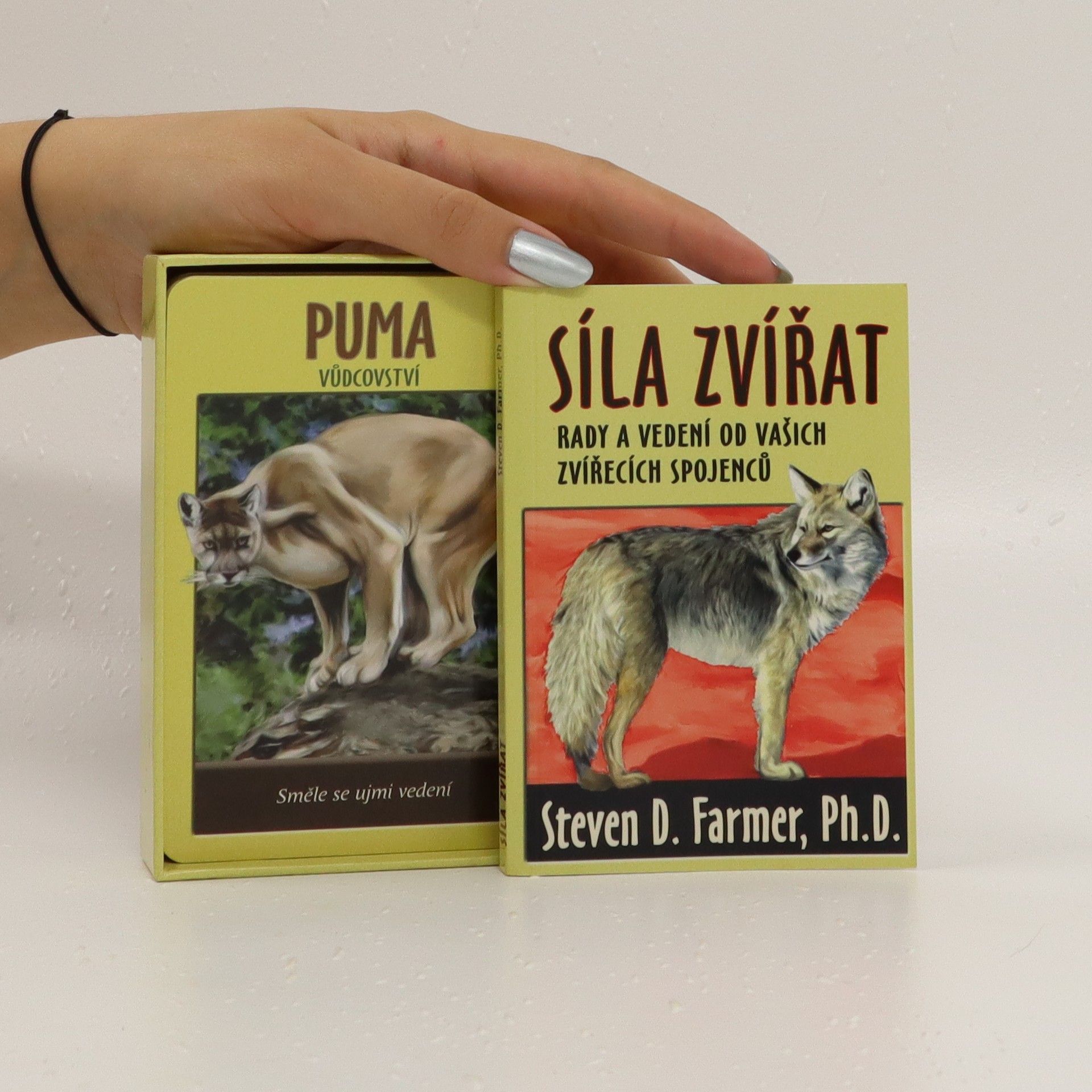 Steven Farmer Síla zvířat: rady a vedení od vašich zvířecích spojenců