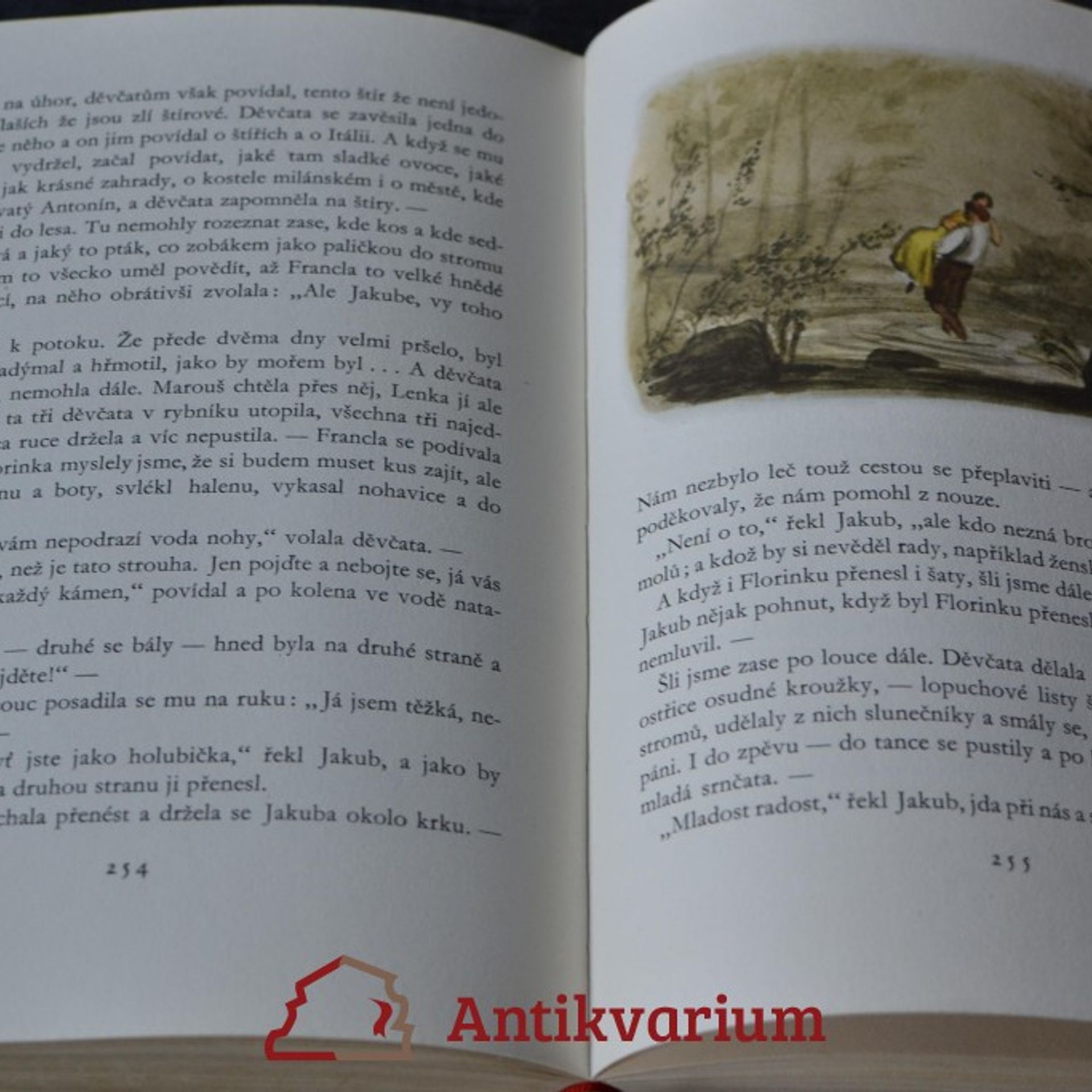 Božena Němcová Chýše pod horami a jiné povídky
