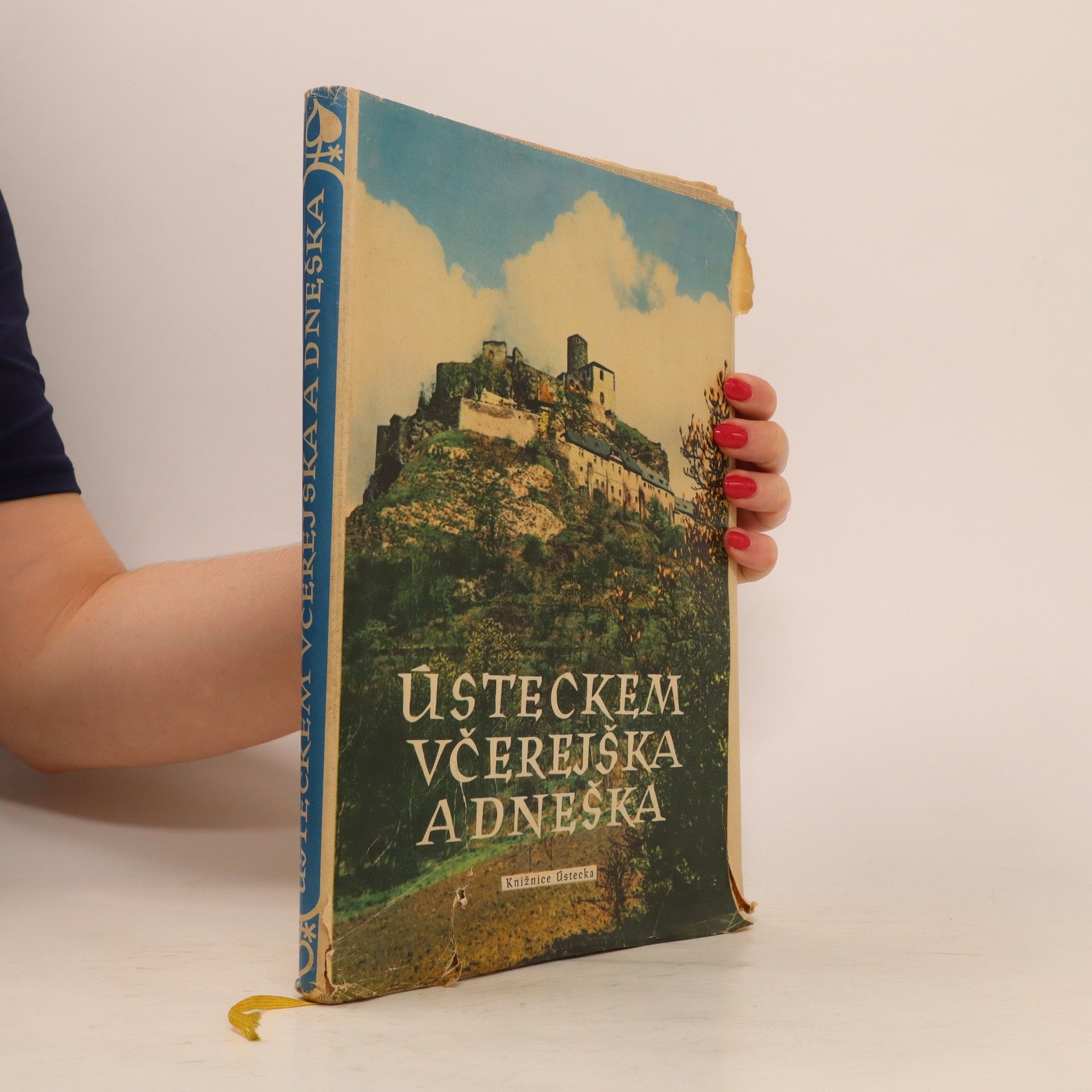 Various authors Ústeckem včerejška a dneška