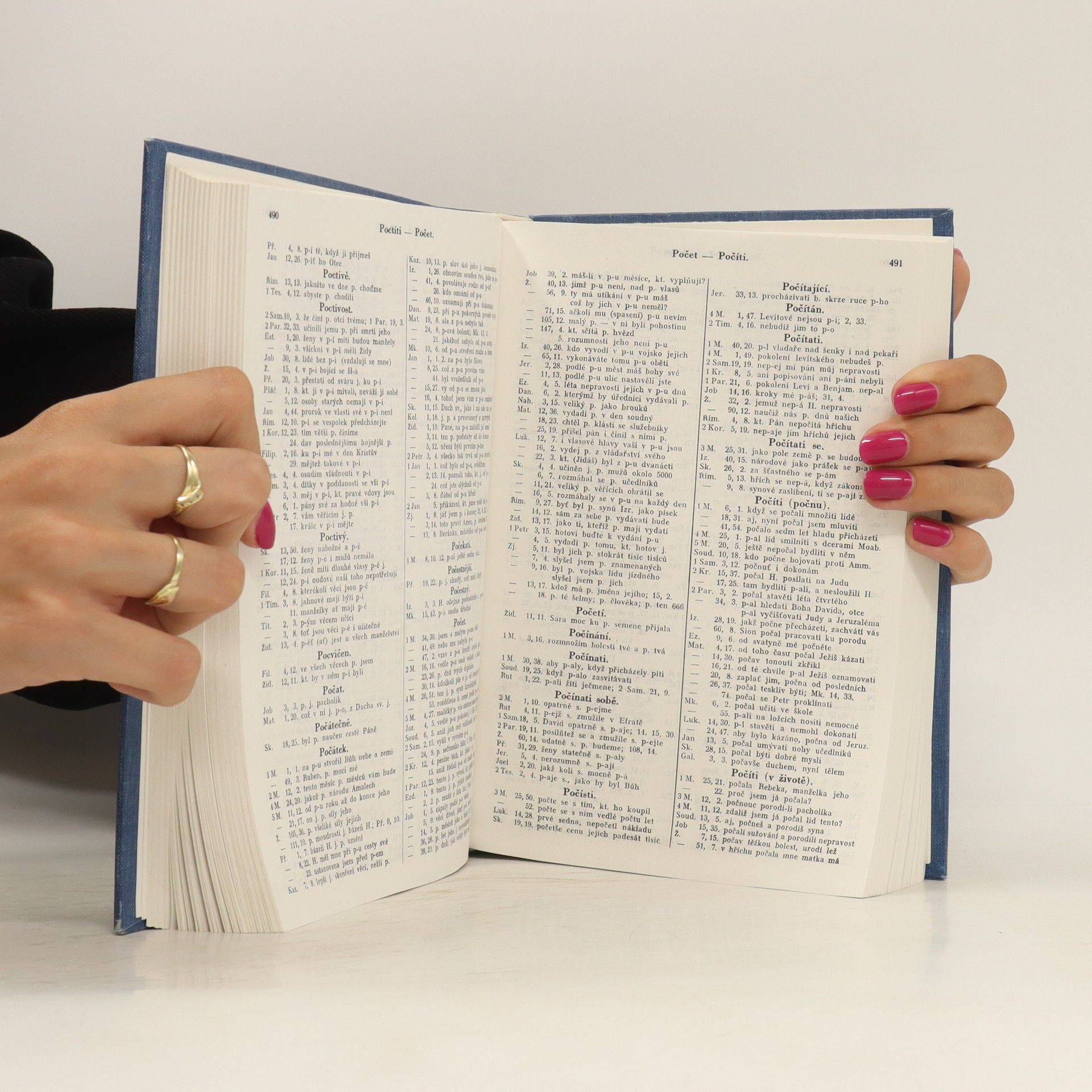 Autorenkollektiv Biblická konkordance. K textu Kralické bible