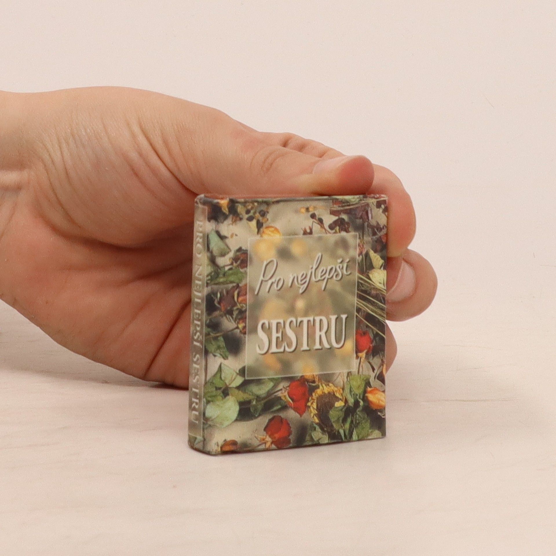 Kolektív autorov Pro nejlepší sestru